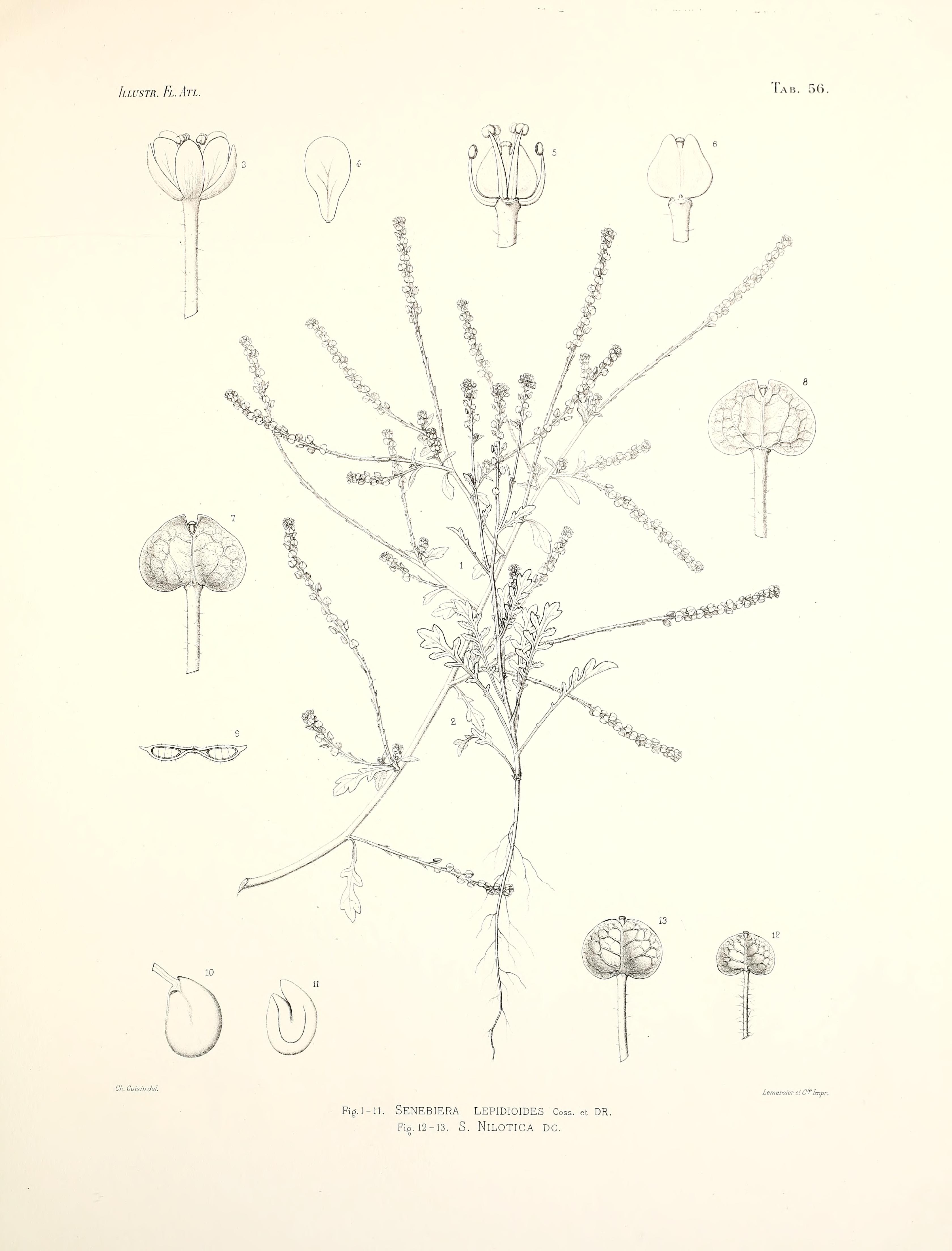 no full size  illustration available (3a)