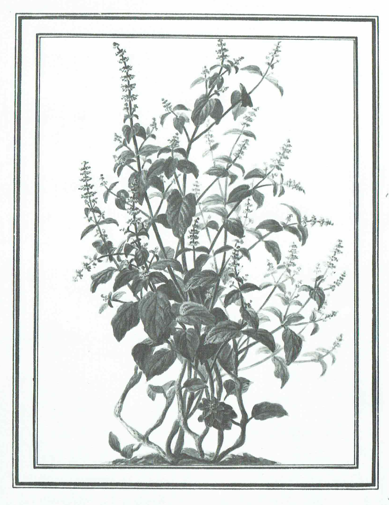 no full size  illustration available (3a)