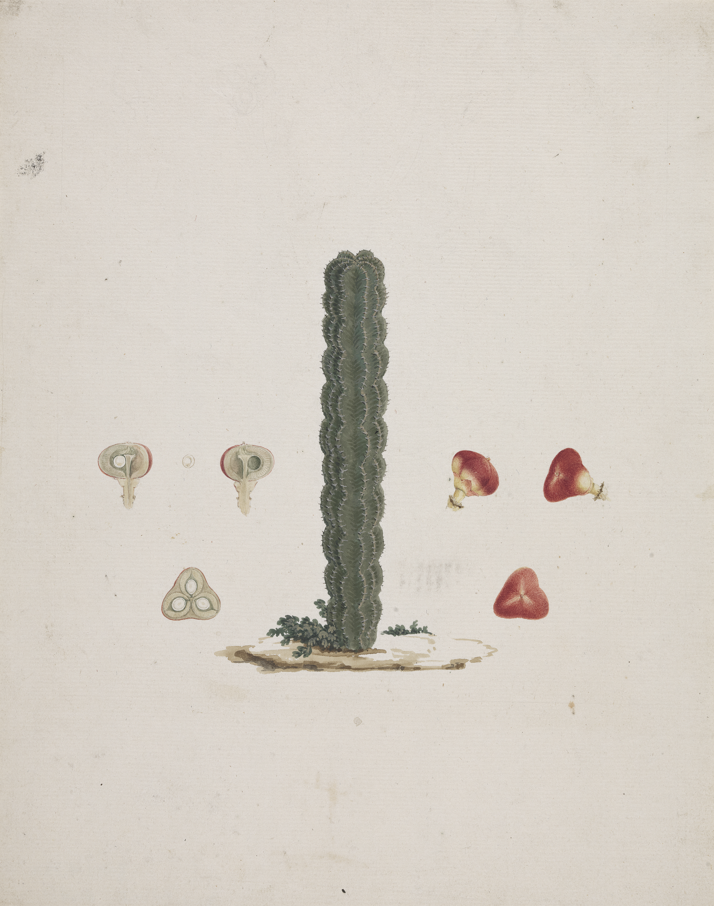 no full size  illustration available (3a)