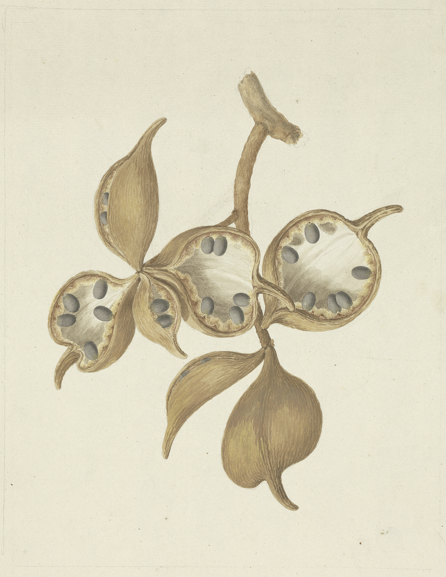 no full size  illustration available (3a)