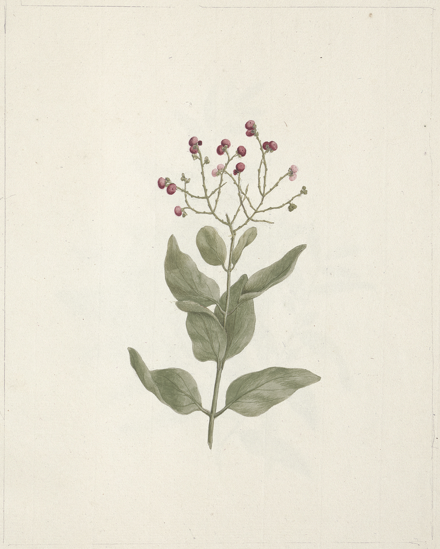 no full size  illustration available (3a)