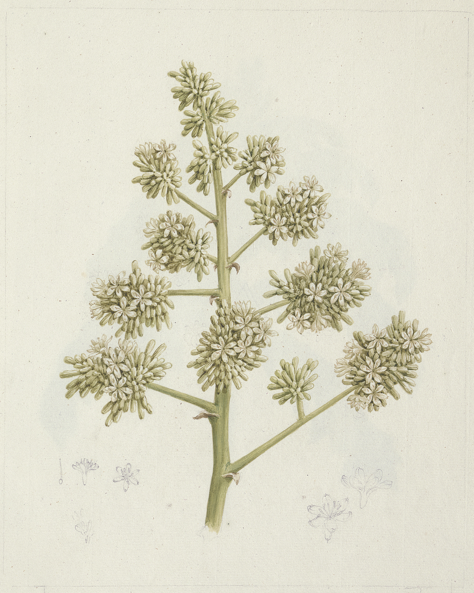 no full size  illustration available (3a)