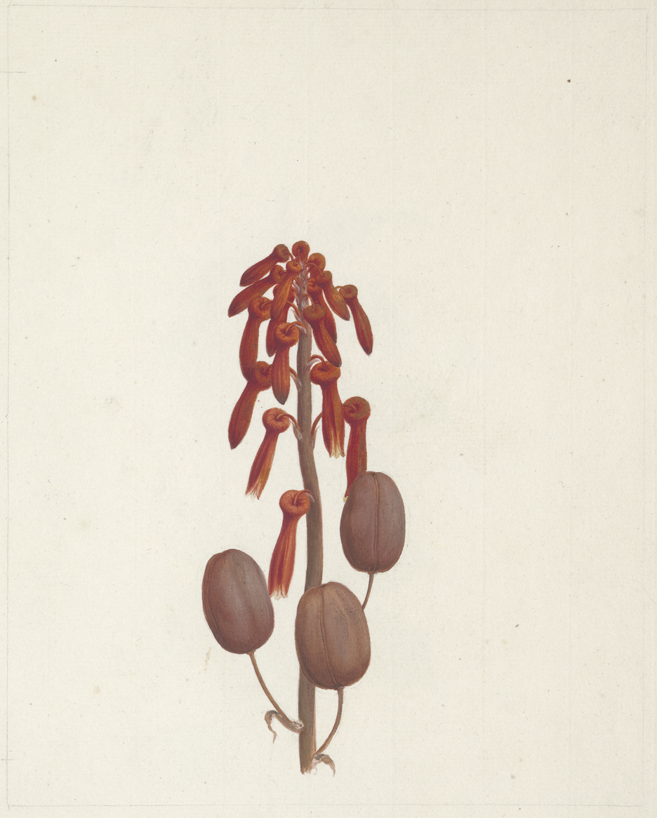 no full size  illustration available (3a)