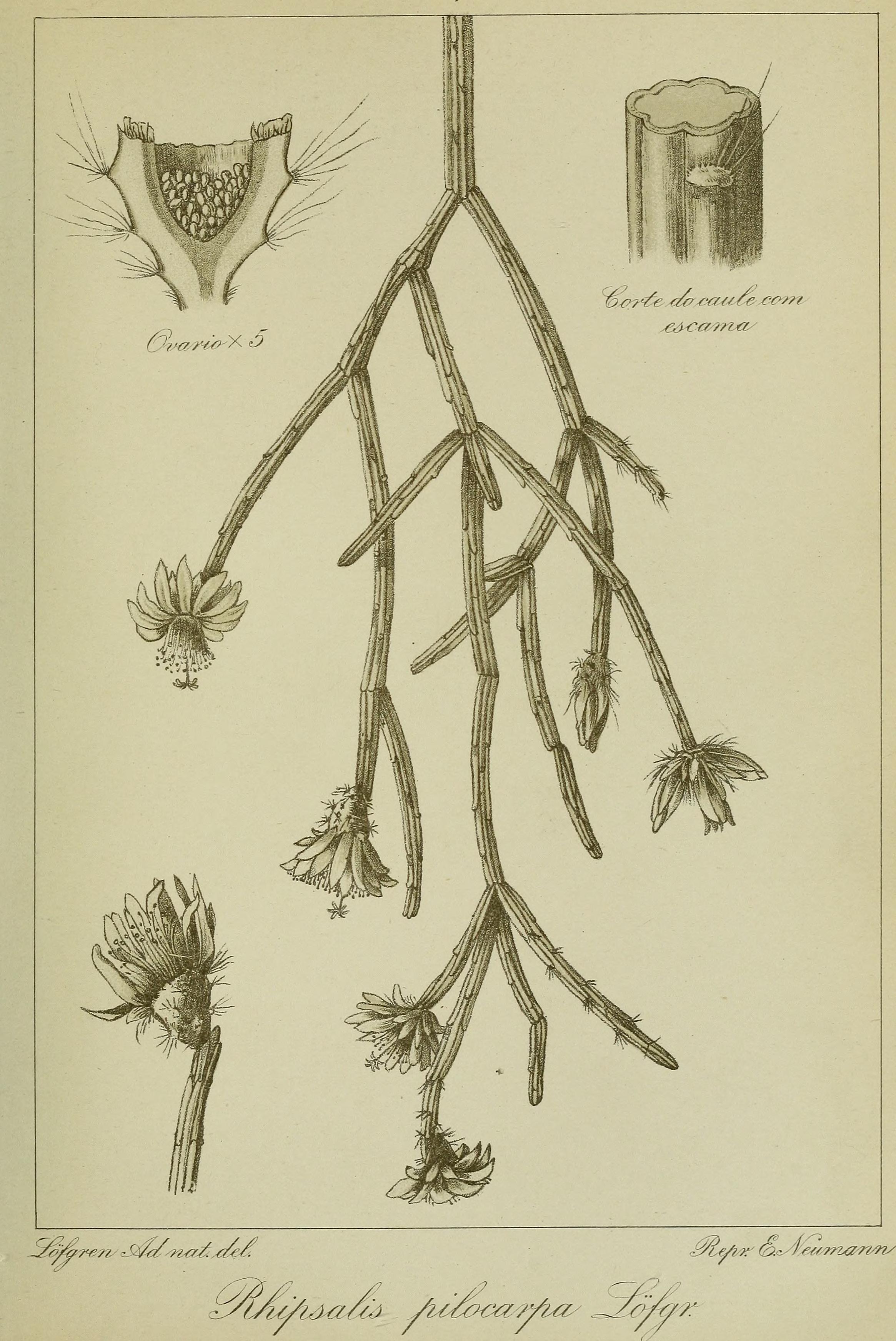 no full size  illustration available (3a)