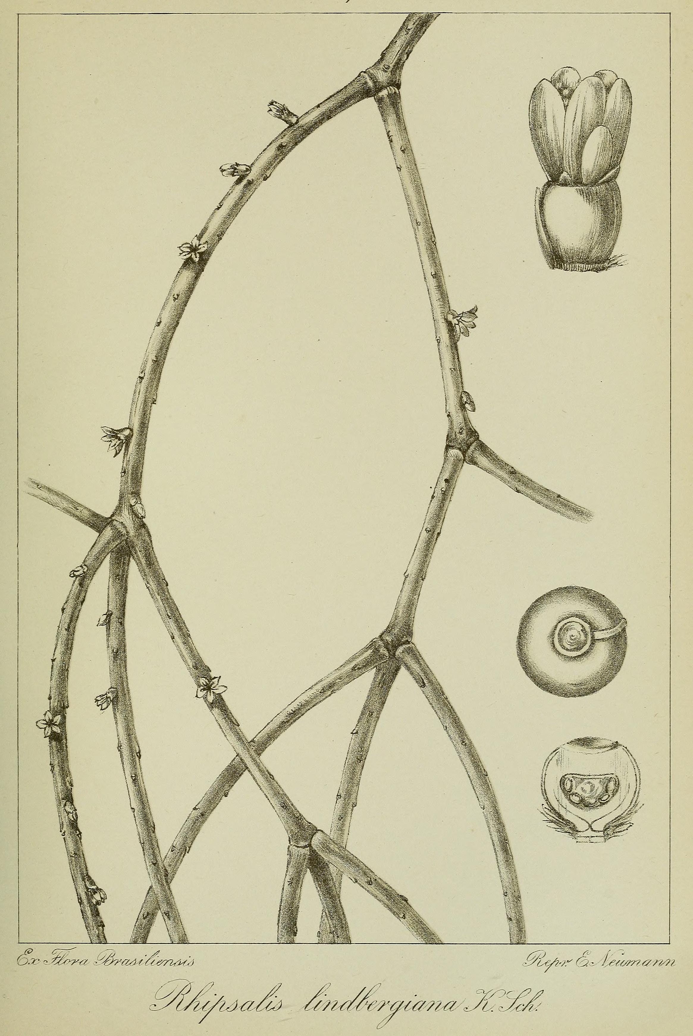 no full size  illustration available (3a)