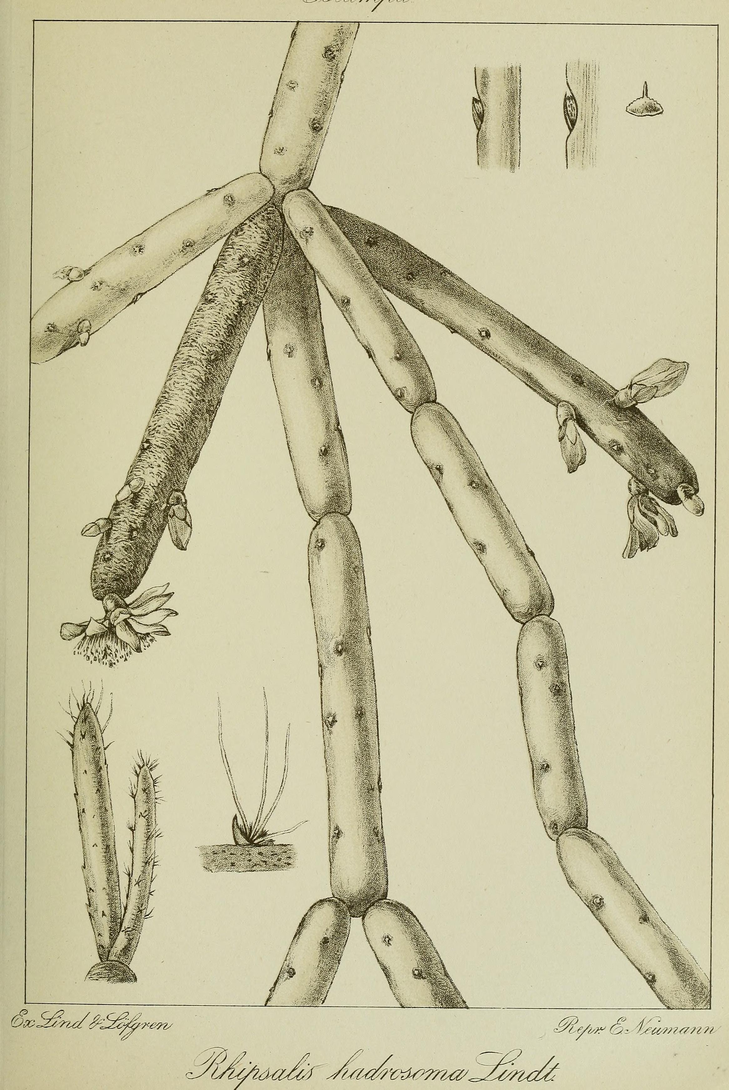 no full size  illustration available (3a)