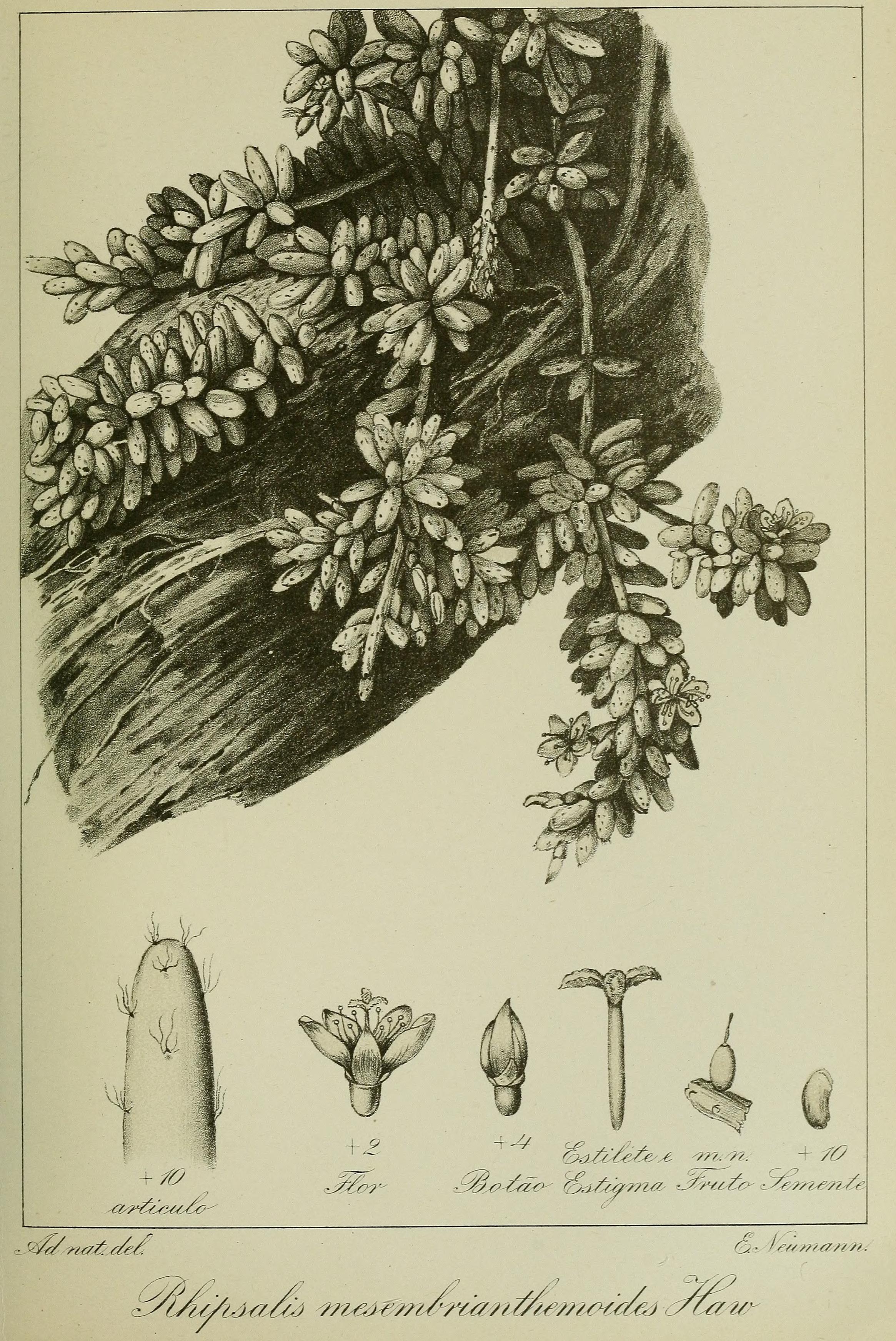 no full size  illustration available (3a)