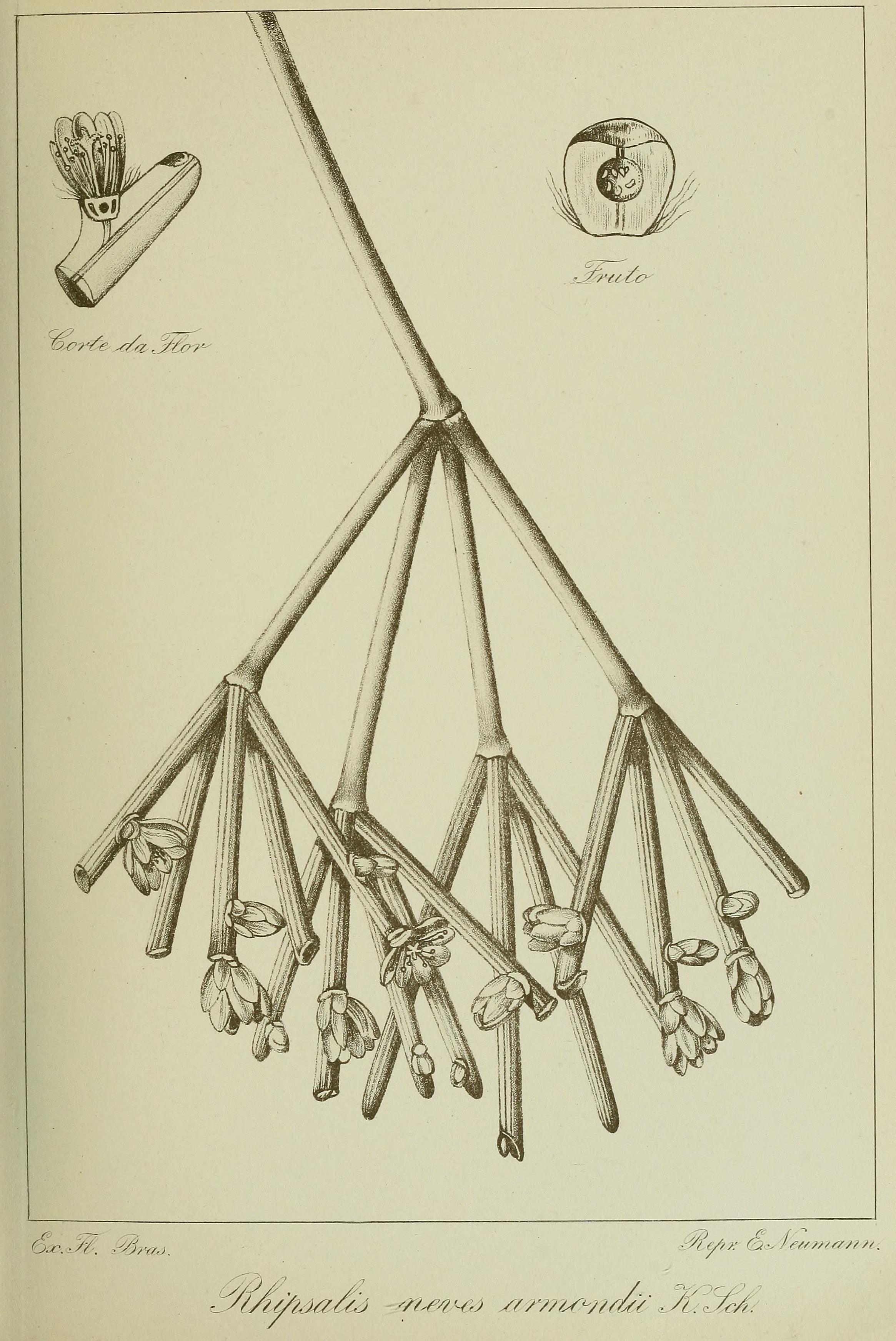 no full size  illustration available (3a)