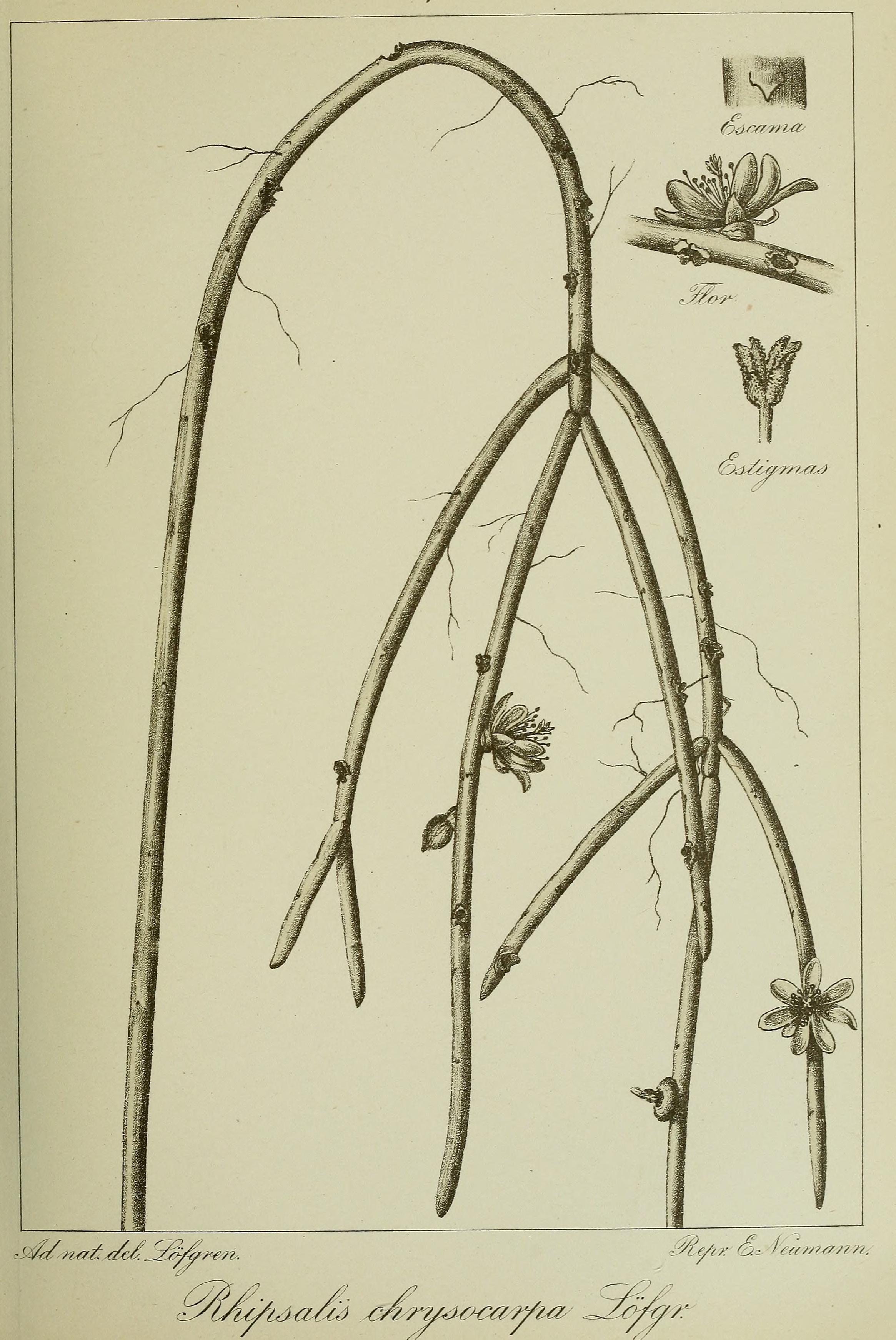 no full size  illustration available (3a)