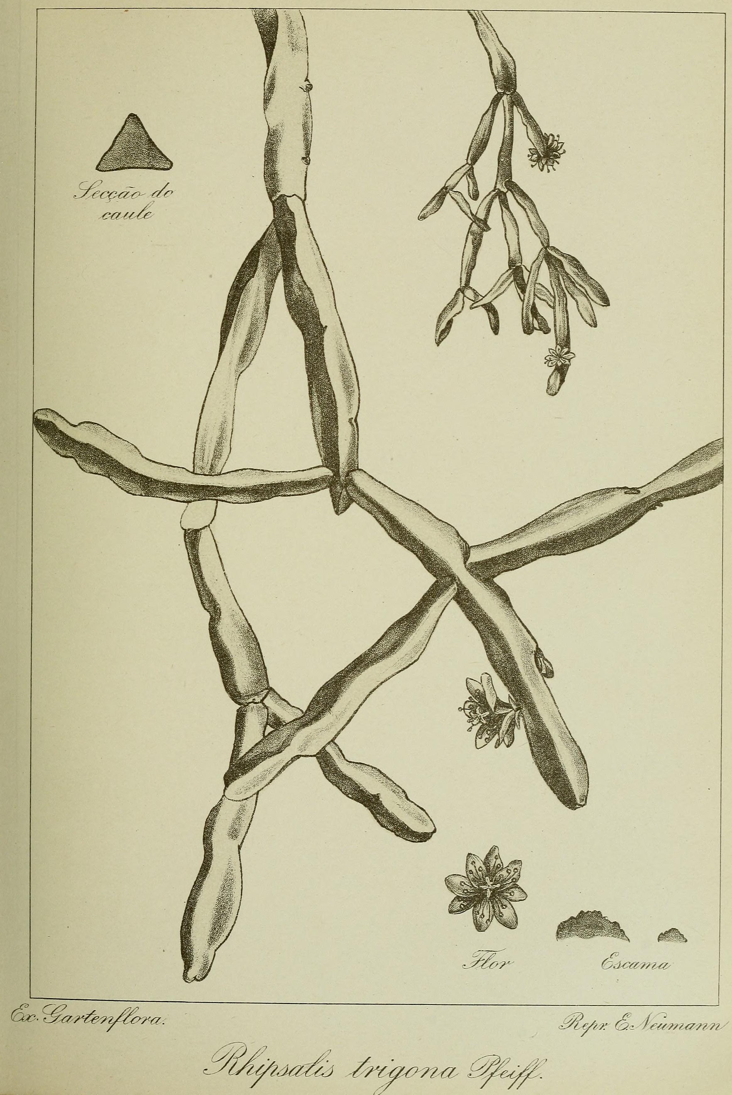 no full size  illustration available (3a)