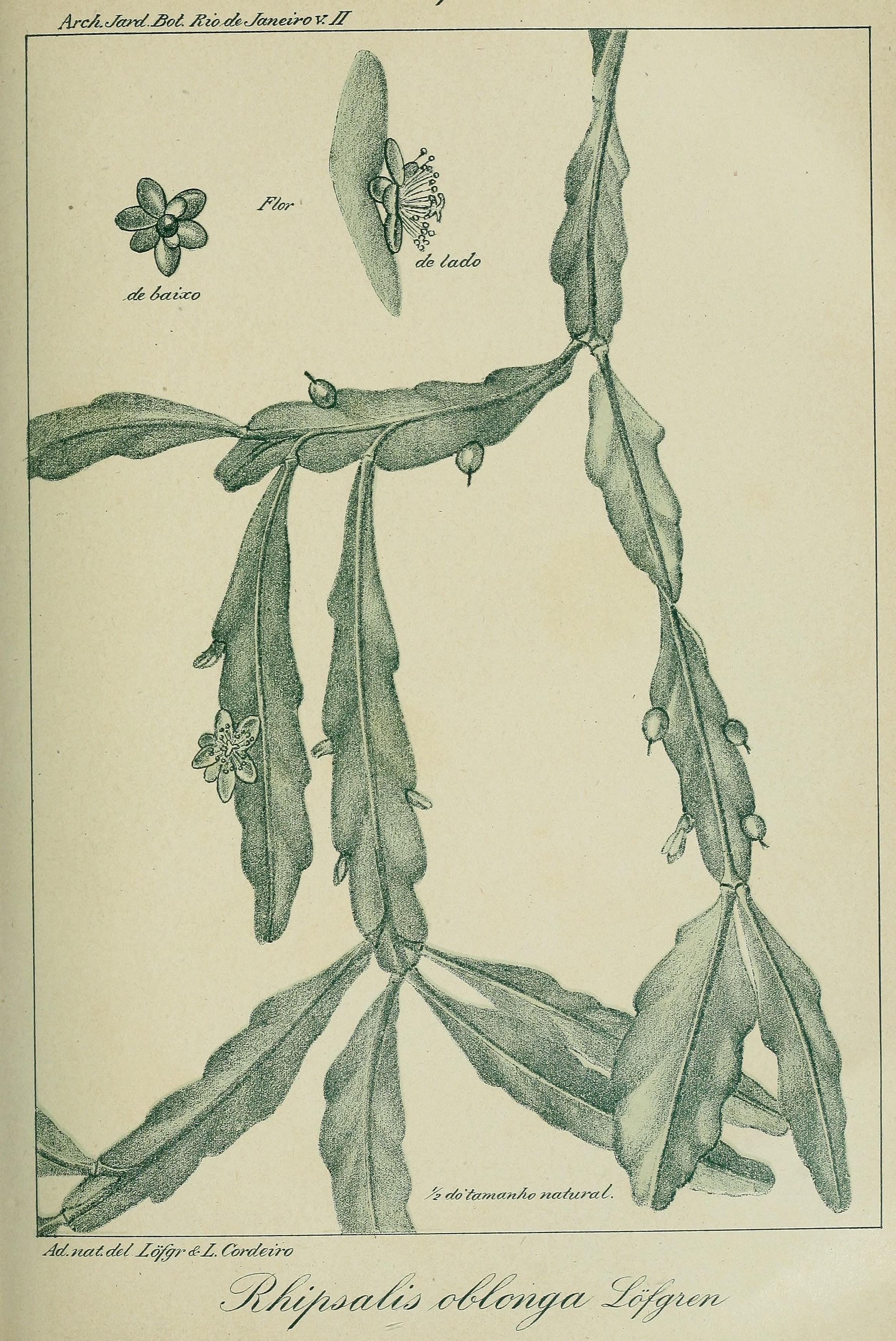 no full size  illustration available (3a)