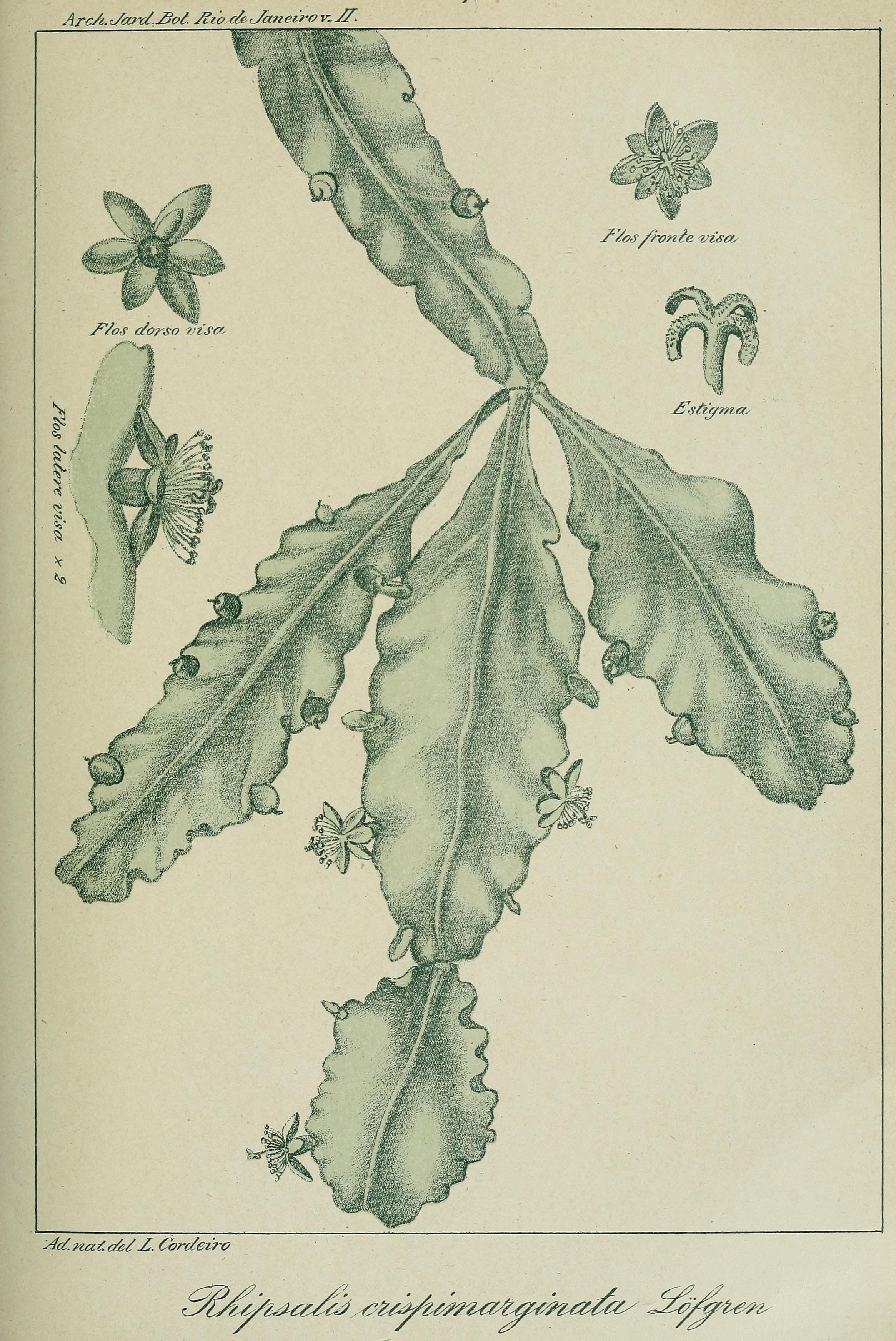 no full size  illustration available (3a)