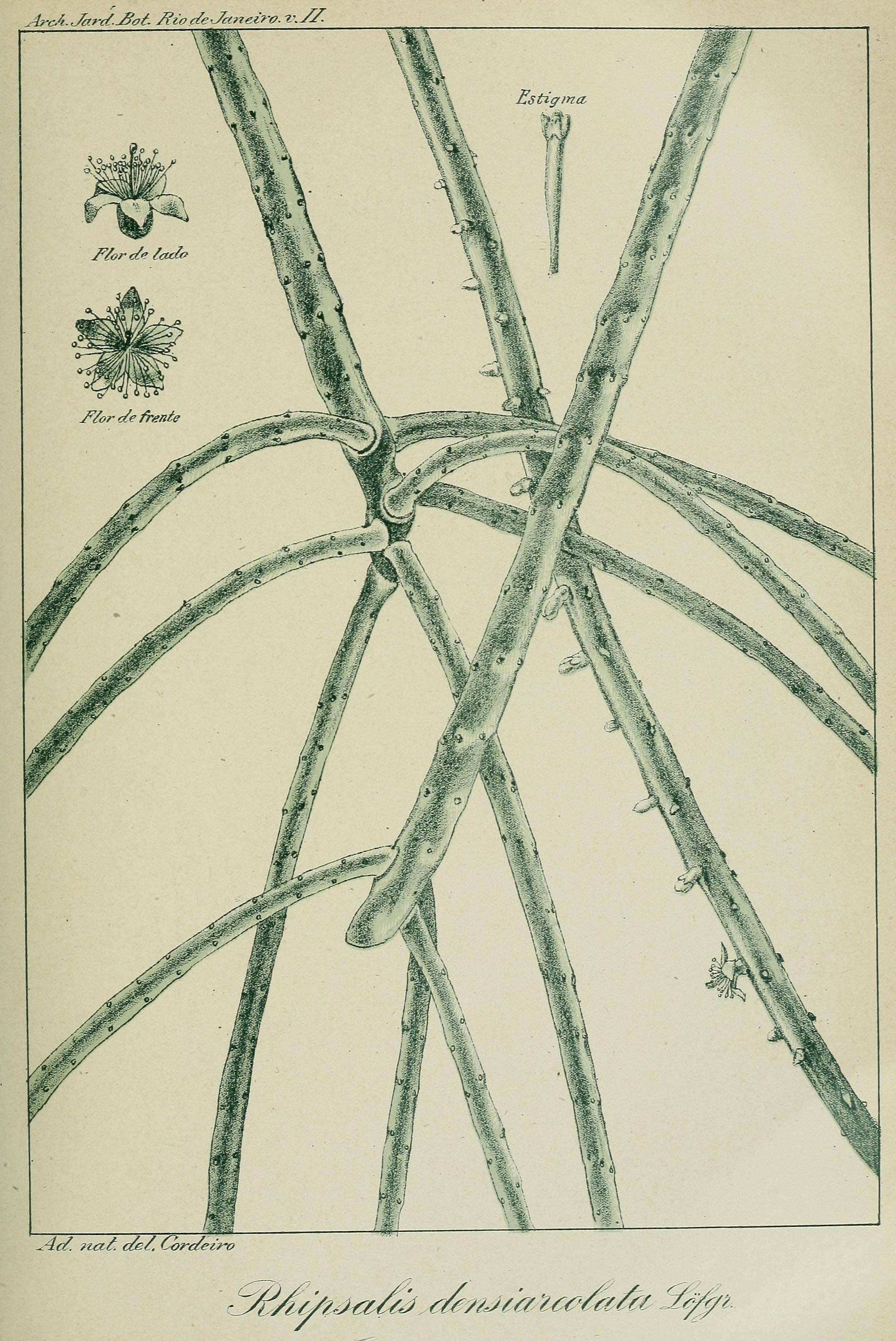 no full size  illustration available (3a)