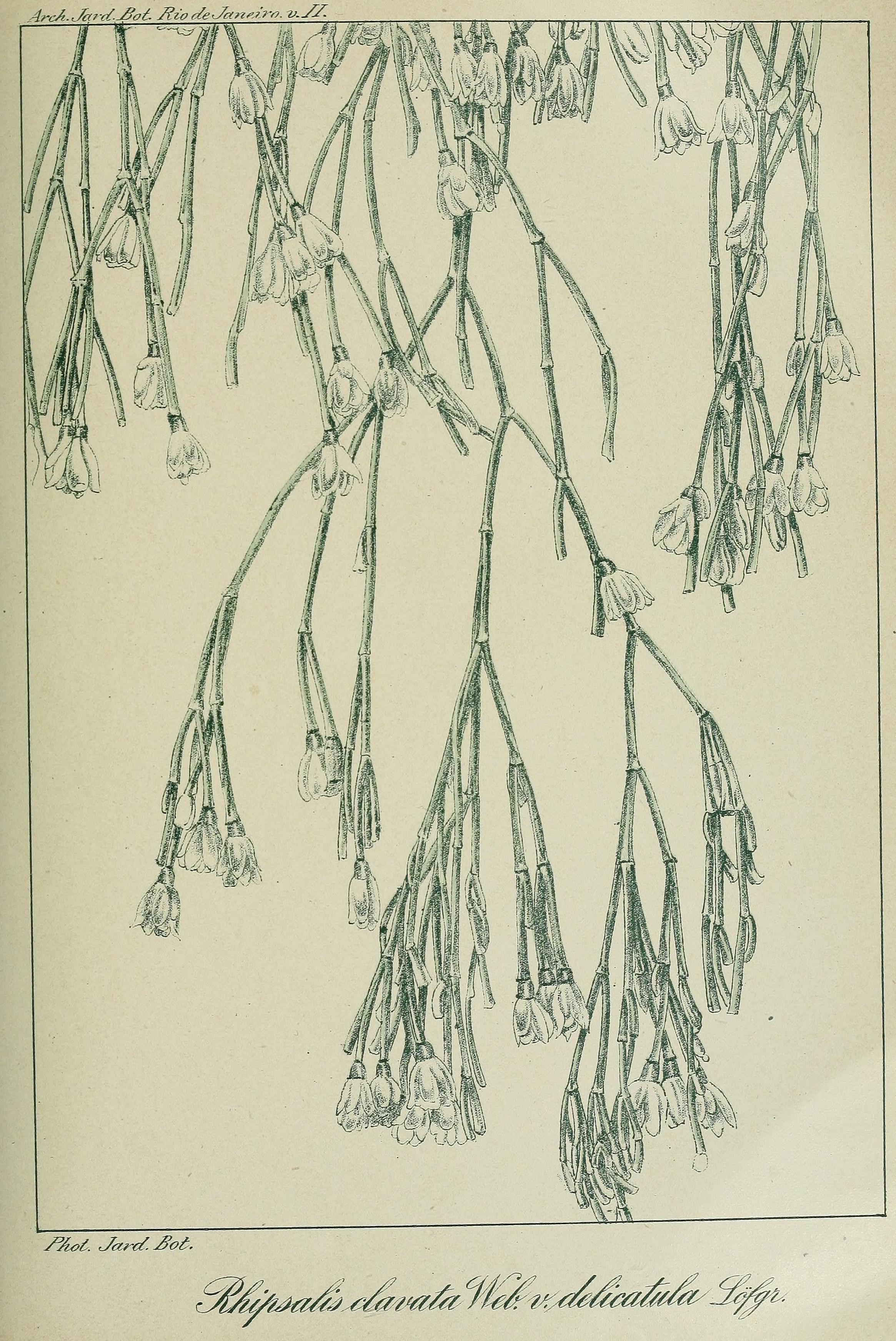 no full size  illustration available (3a)