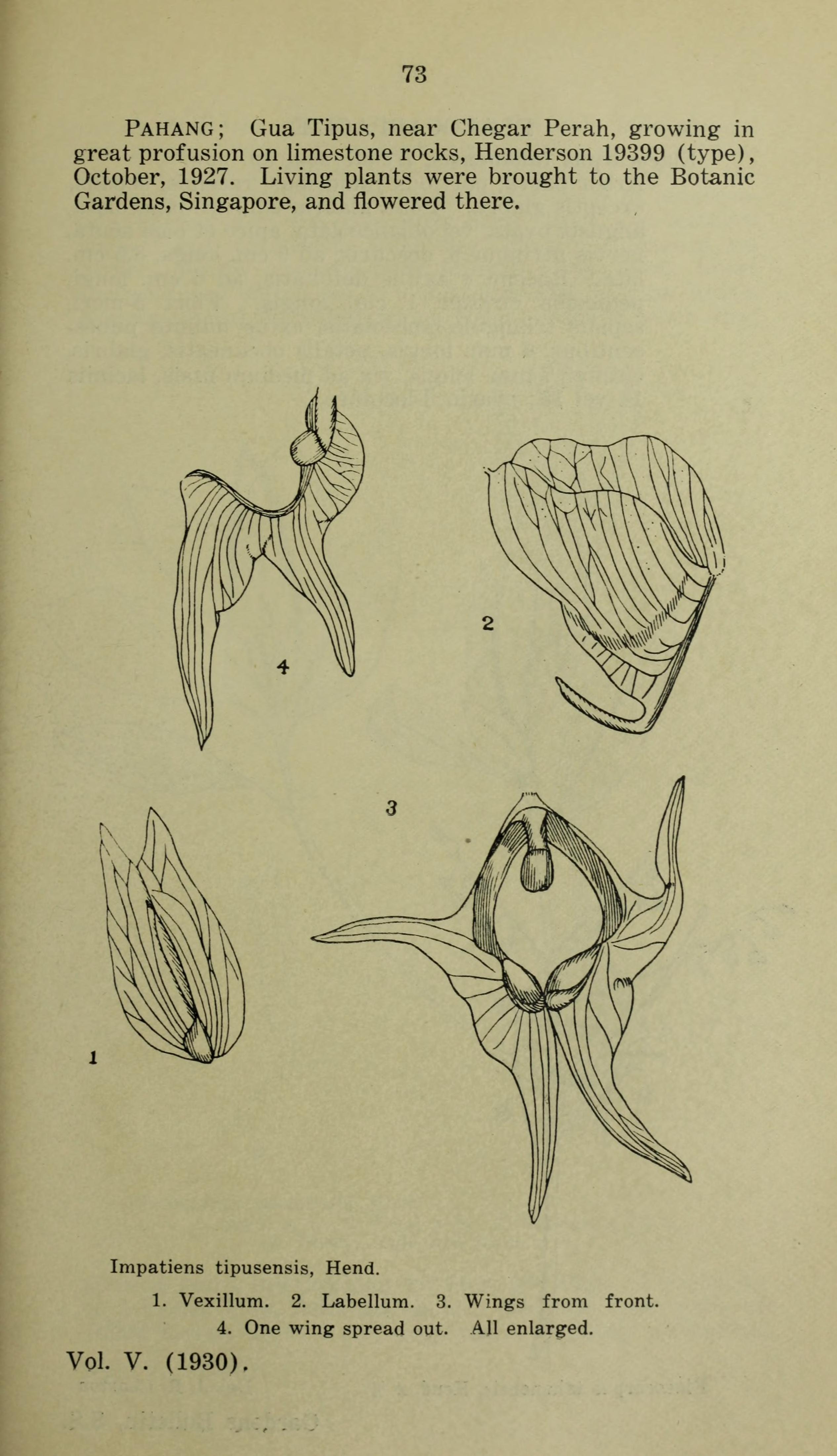 no full size  illustration available (3a)