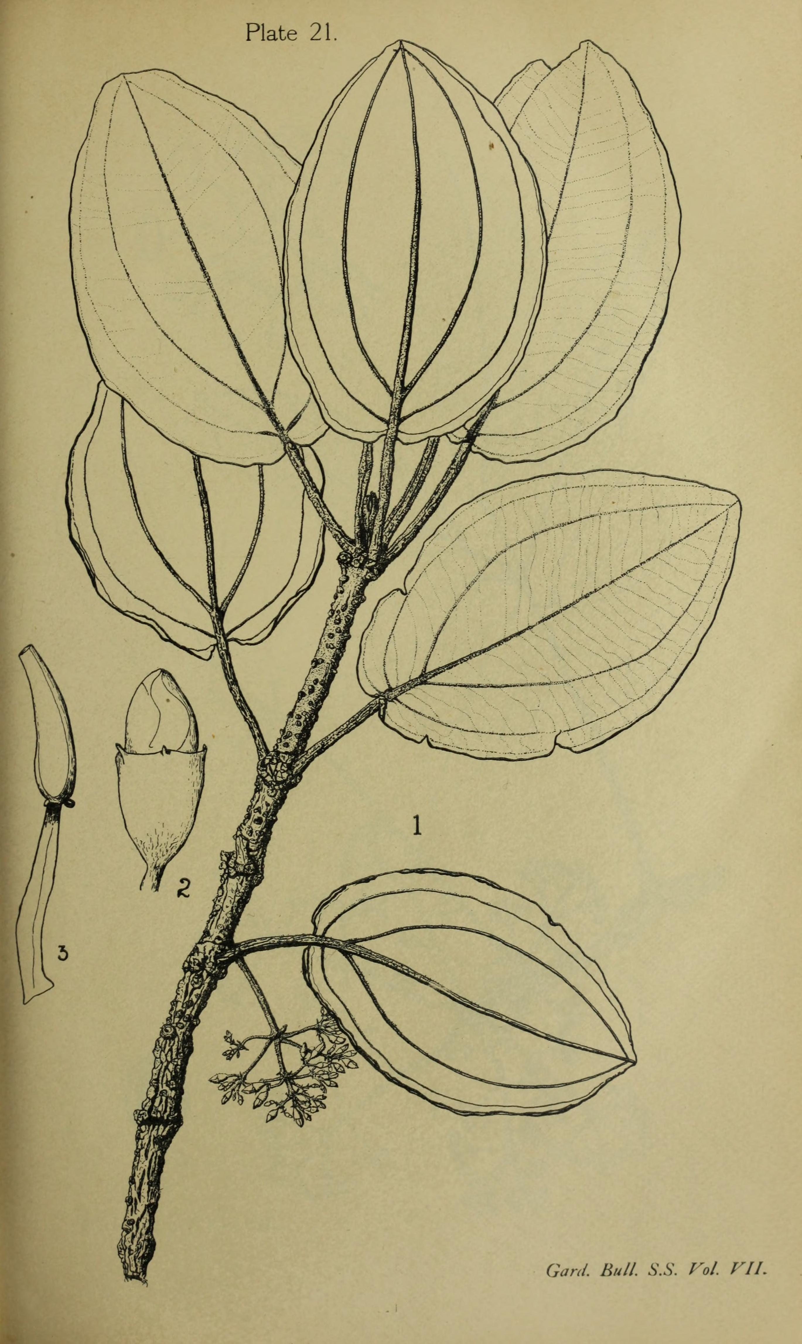 no full size  illustration available (3a)