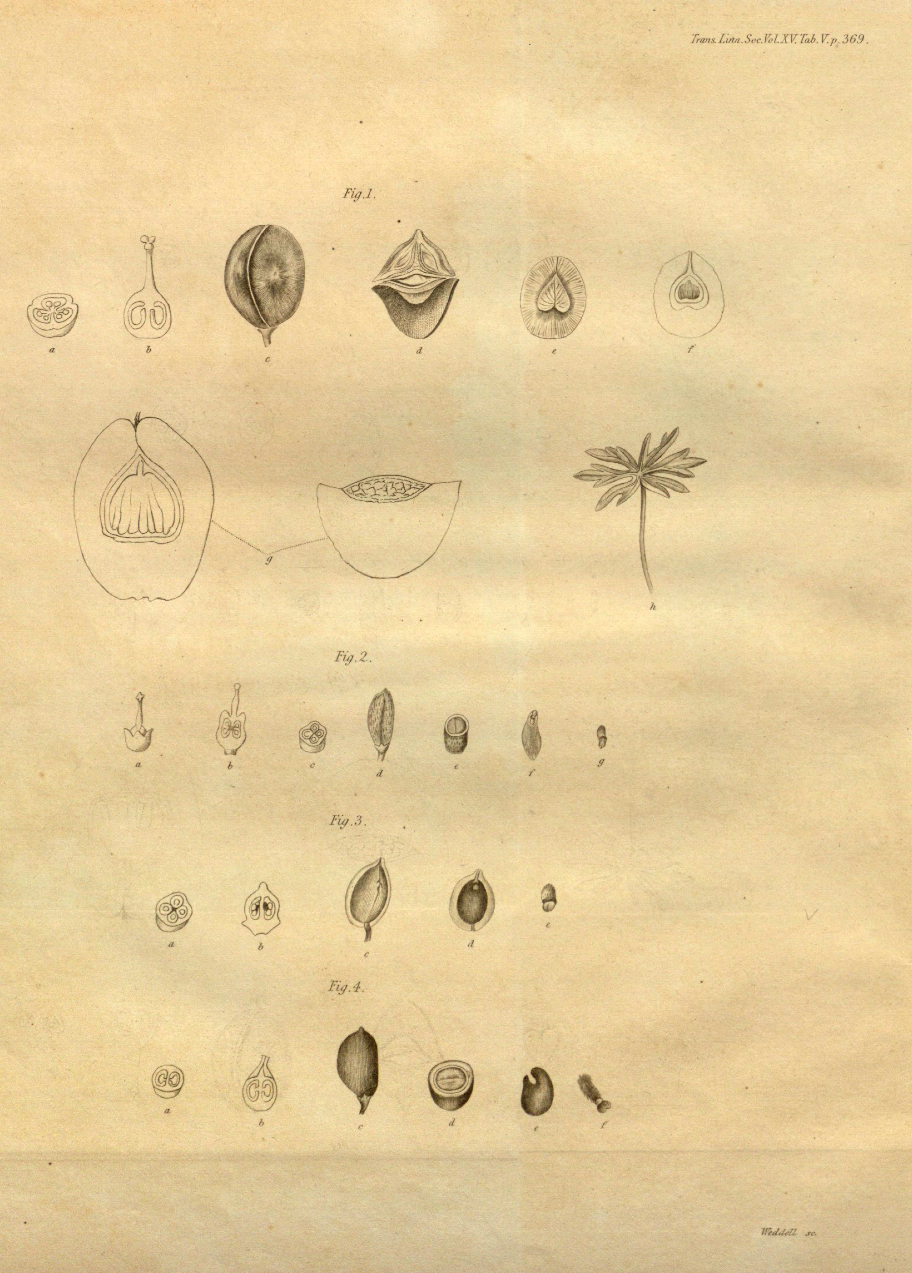 no full size  illustration available (3a)