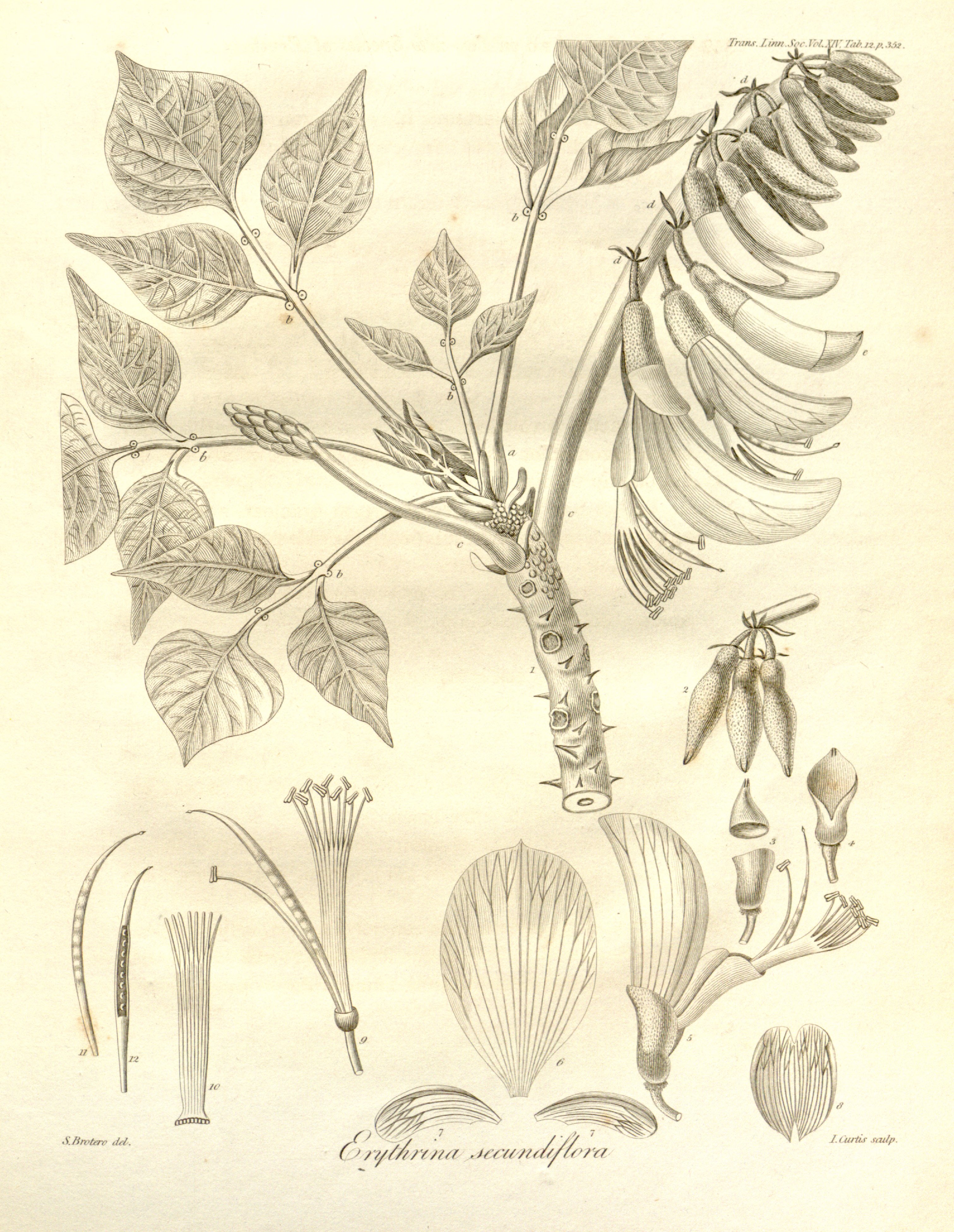 no full size  illustration available (3a)