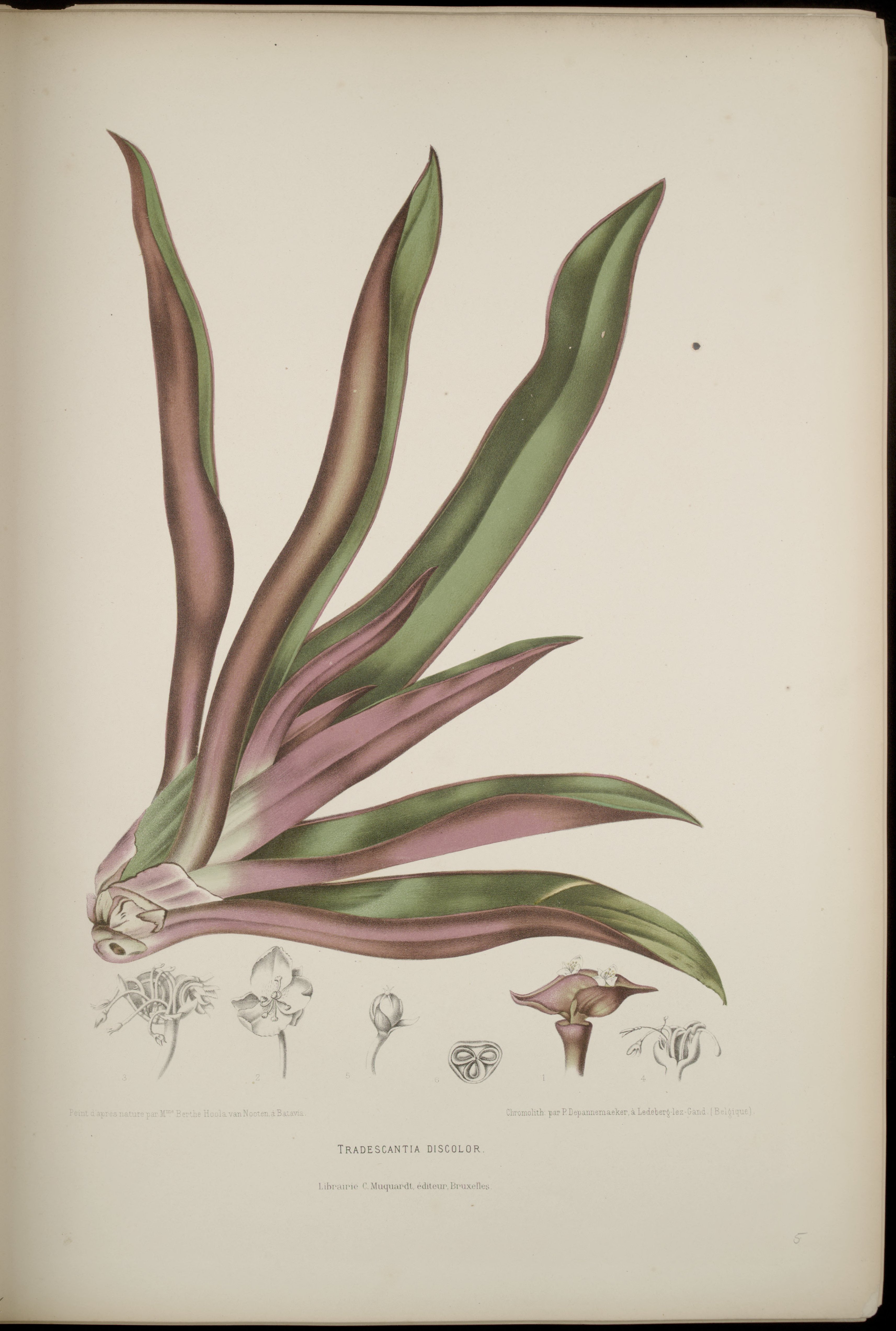 no full size  illustration available (3a)