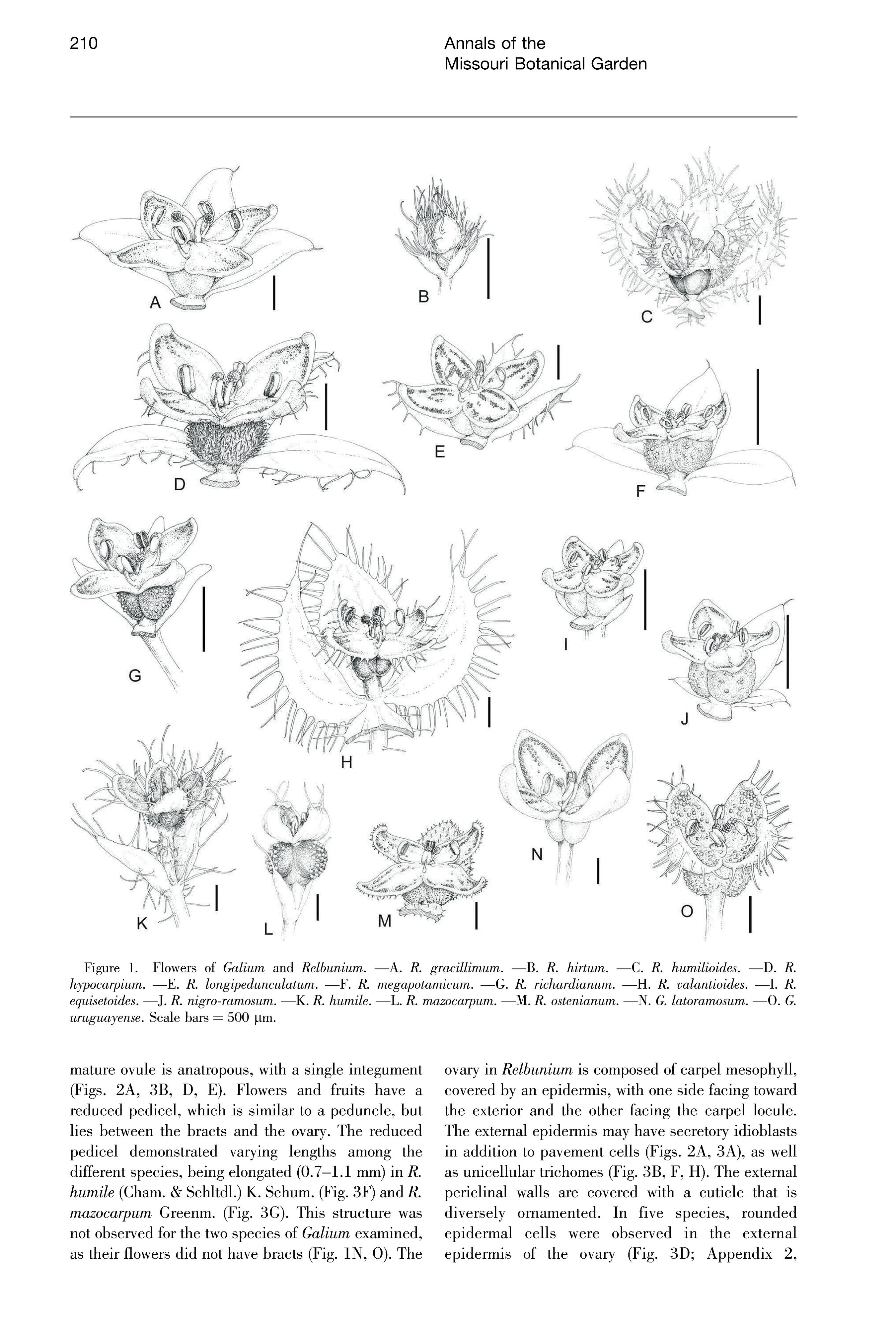 no full size  illustration available (3a)