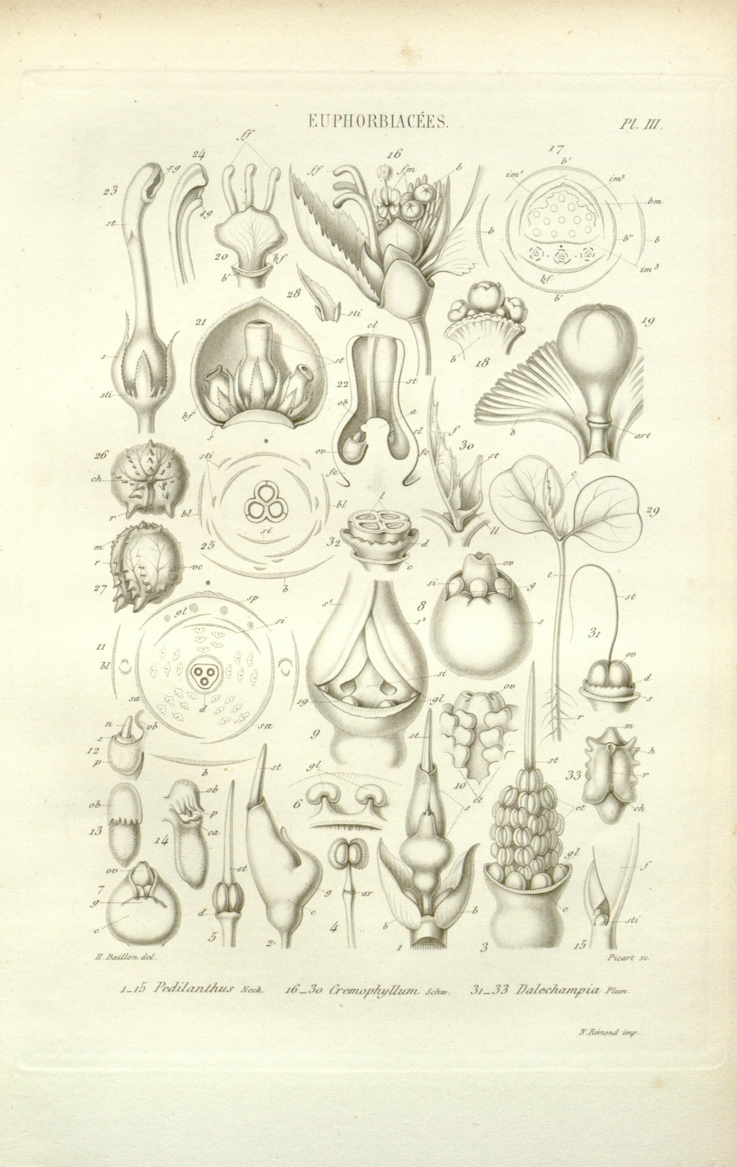 no full size  illustration available (3a)