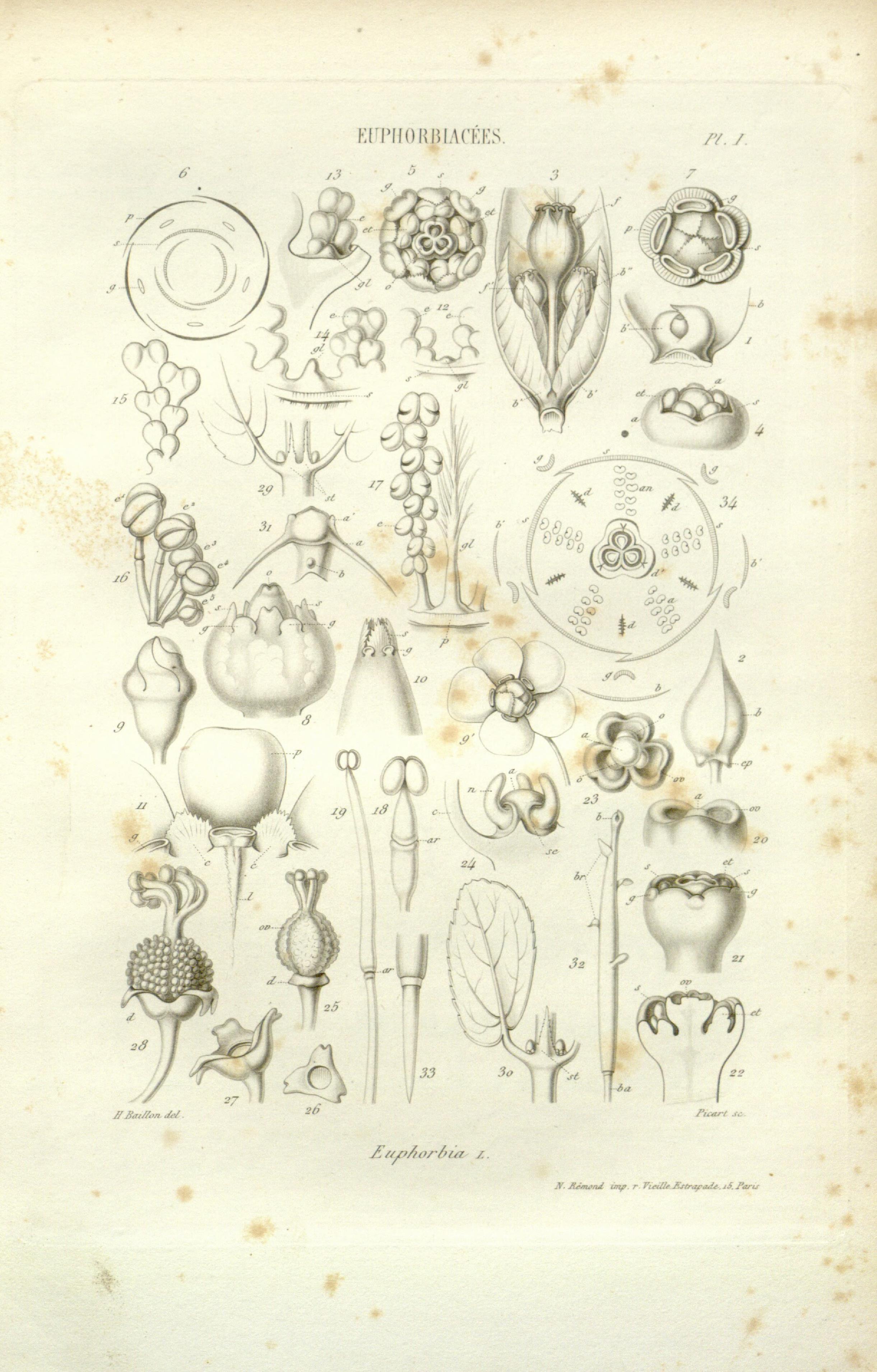 no full size  illustration available (3a)