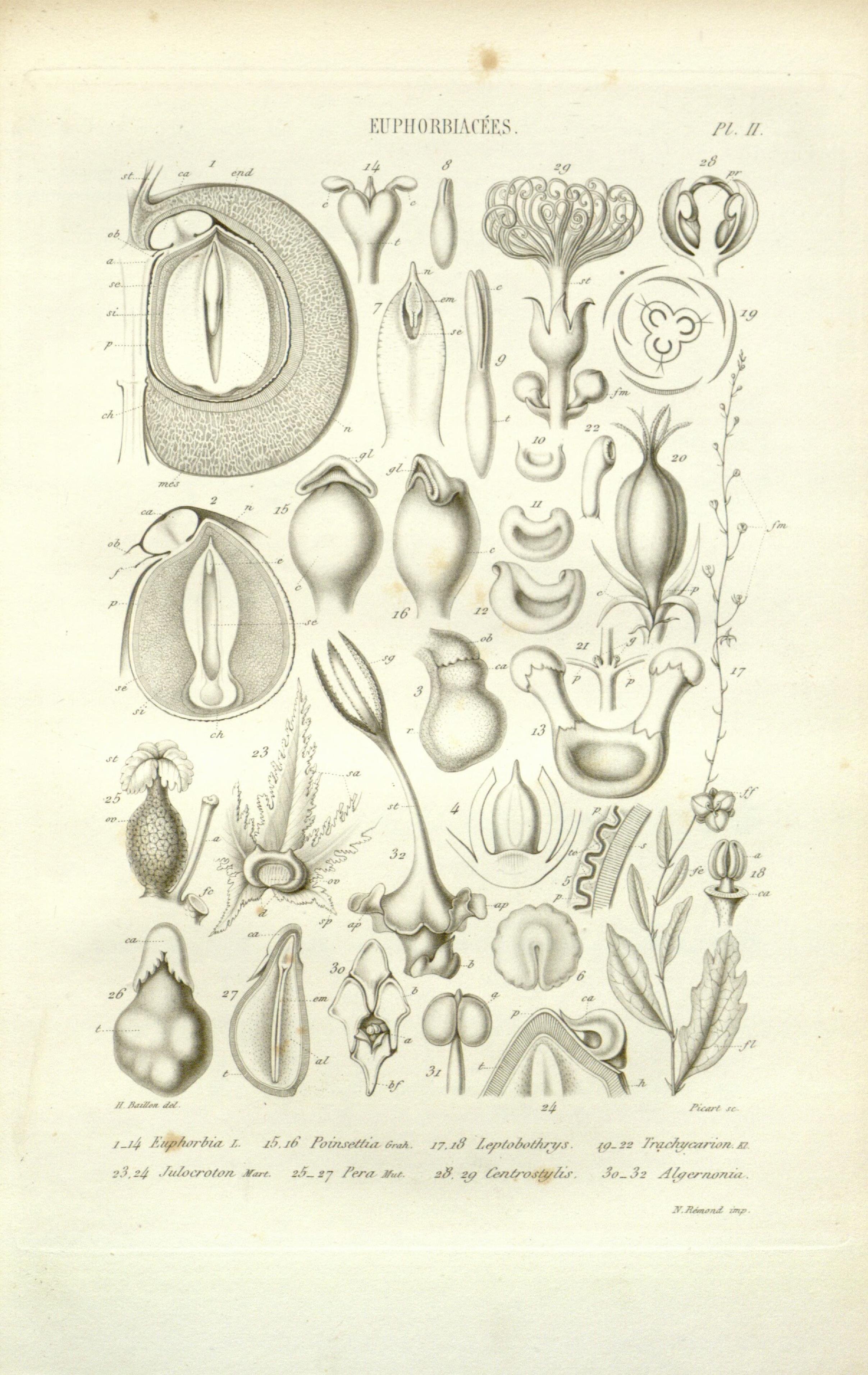 no full size  illustration available (3a)