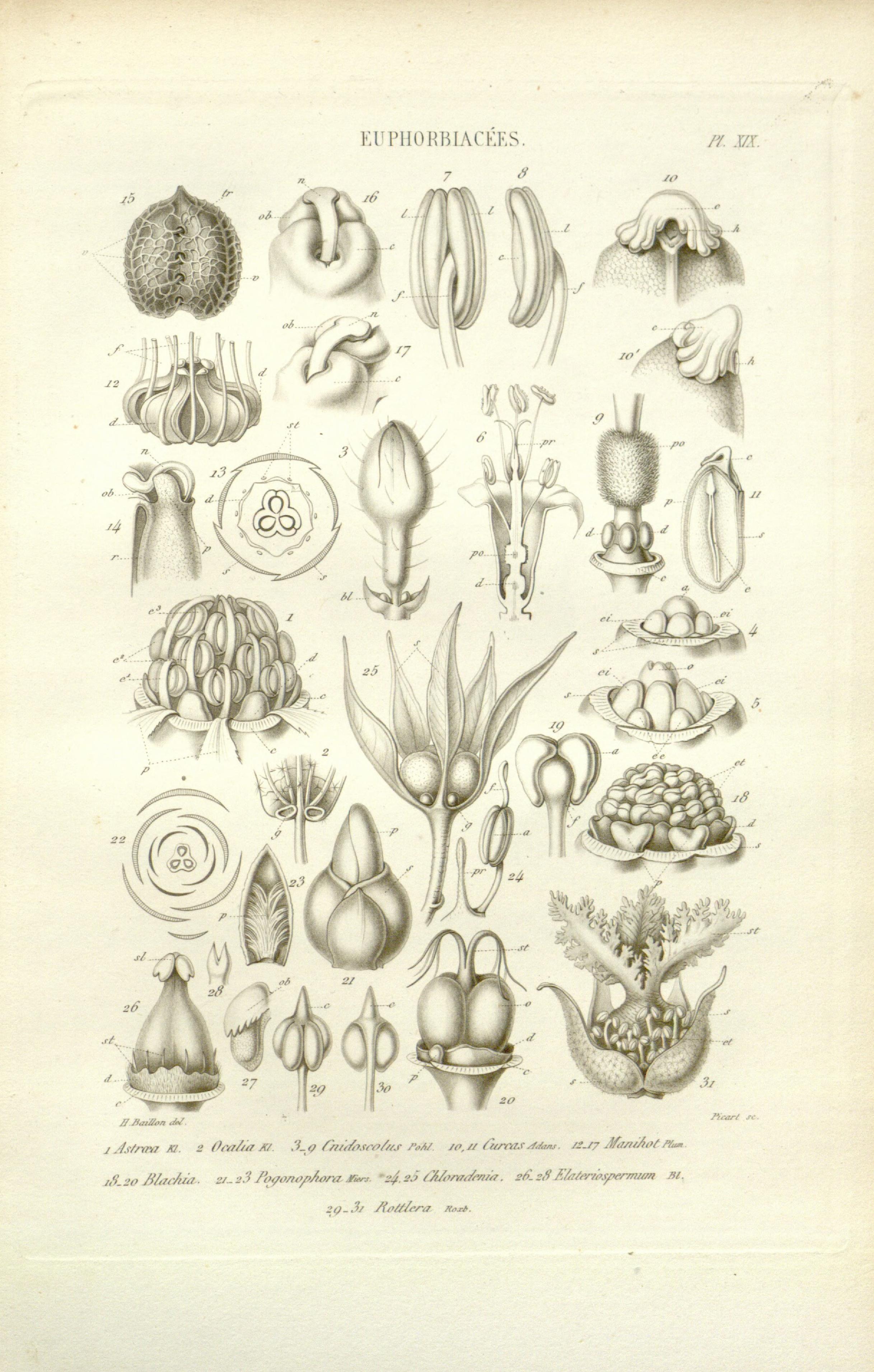 no full size  illustration available (3a)