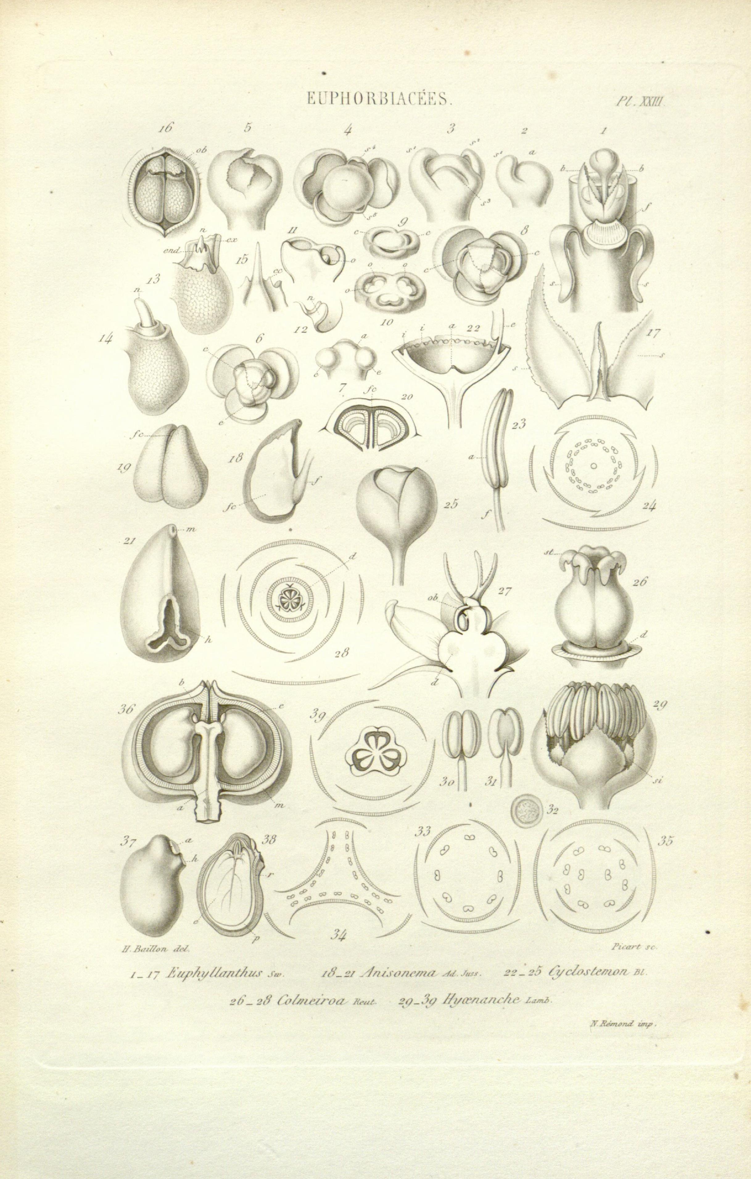 no full size  illustration available (3a)