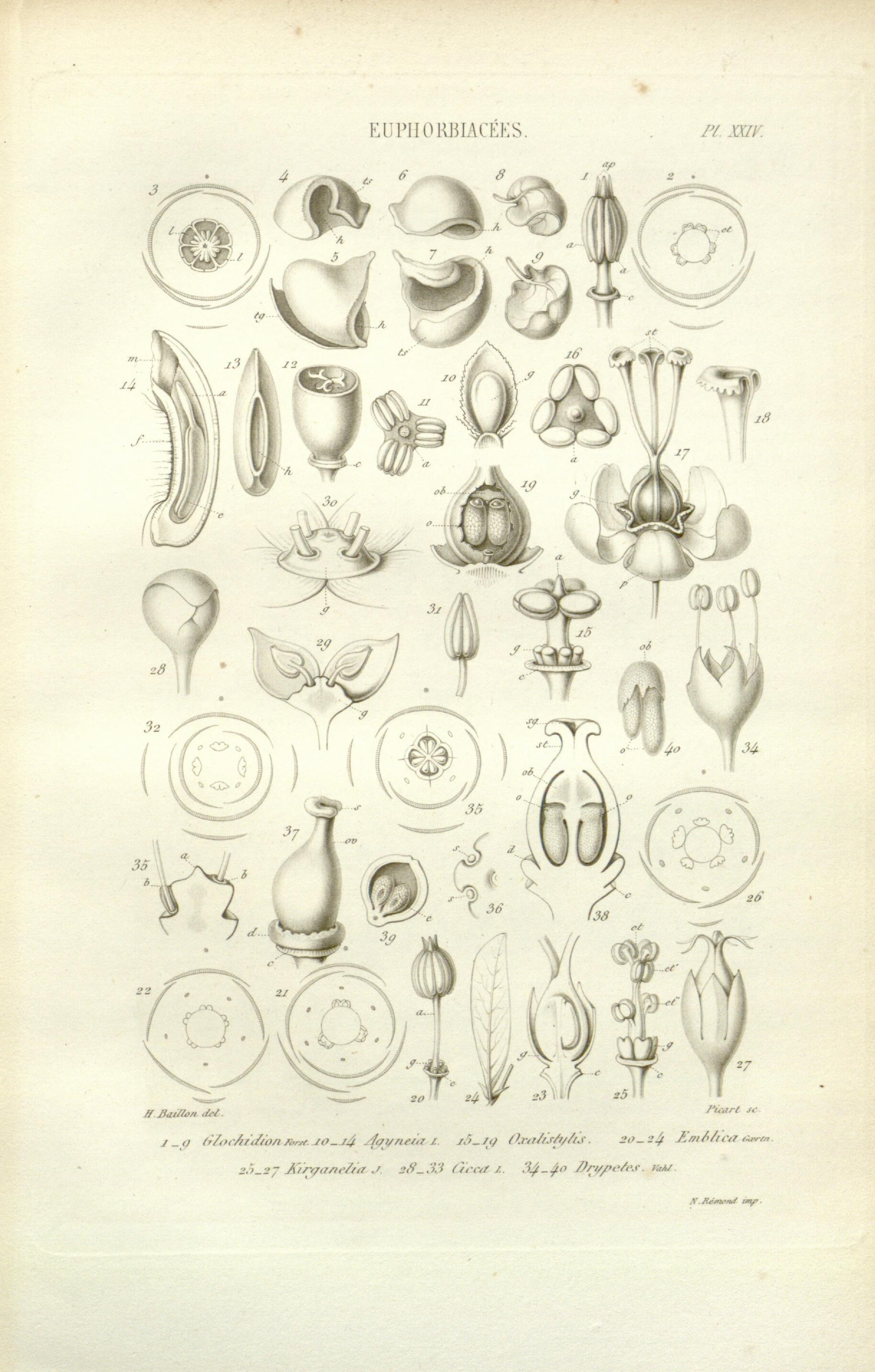 no full size  illustration available (3a)