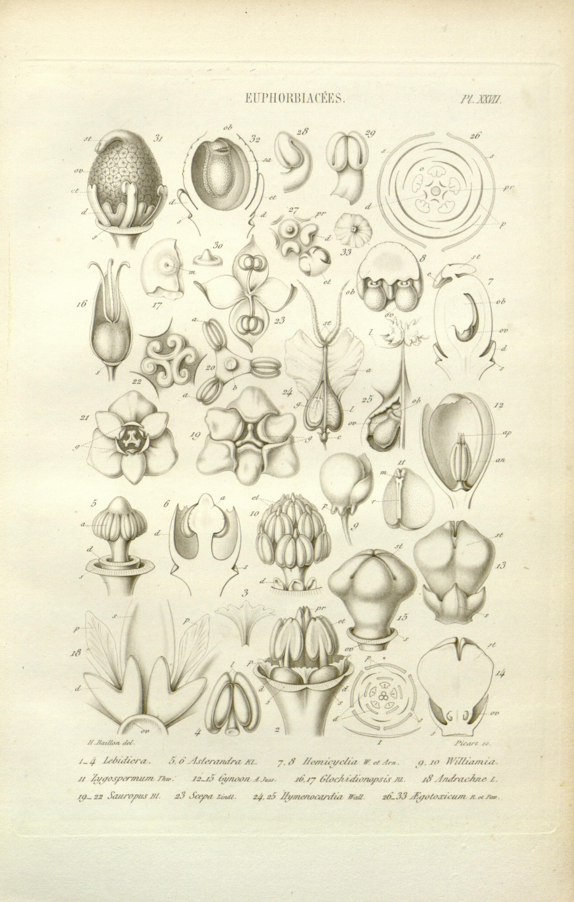 no full size  illustration available (3a)