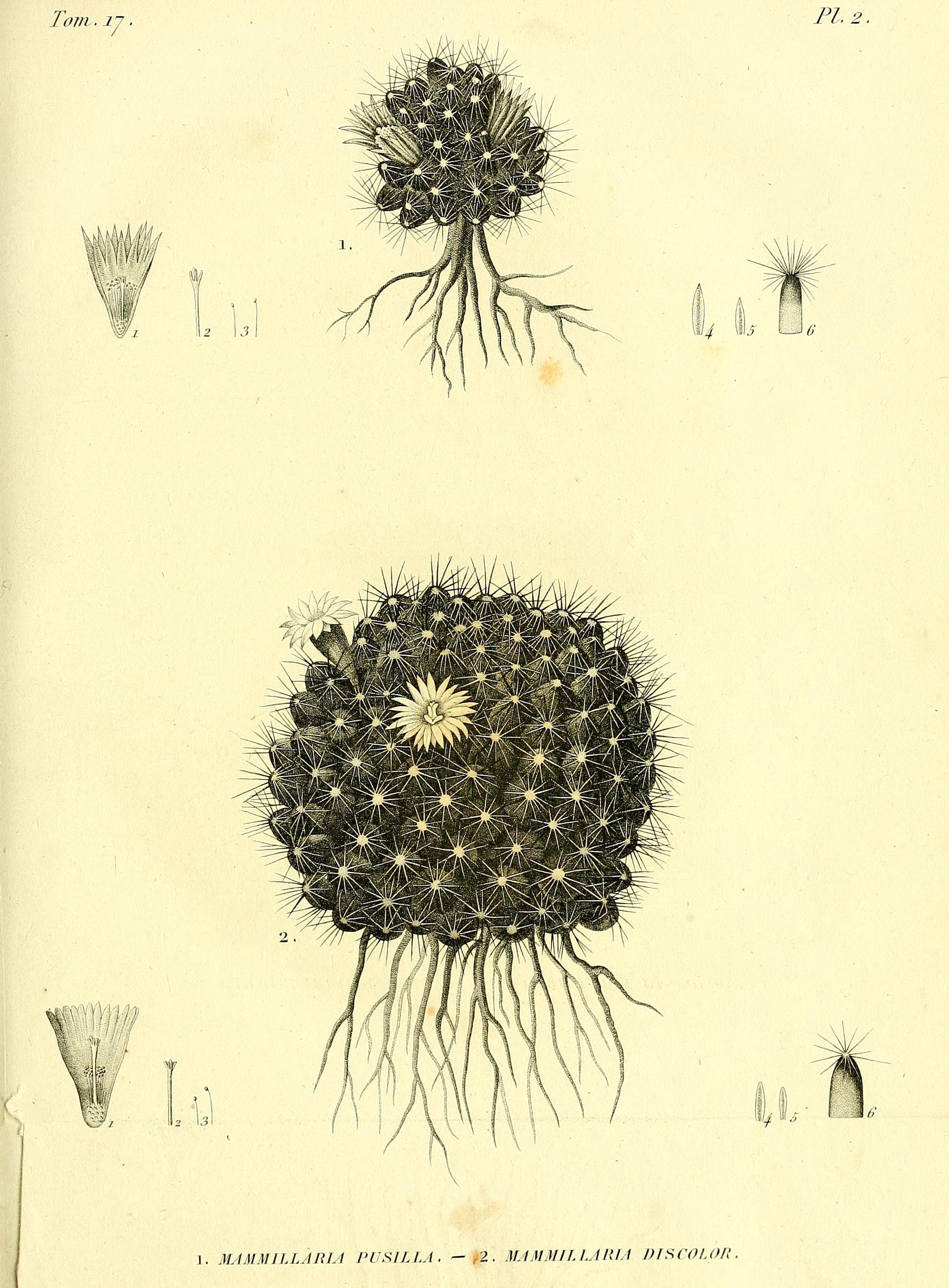 no full size  illustration available (3a)