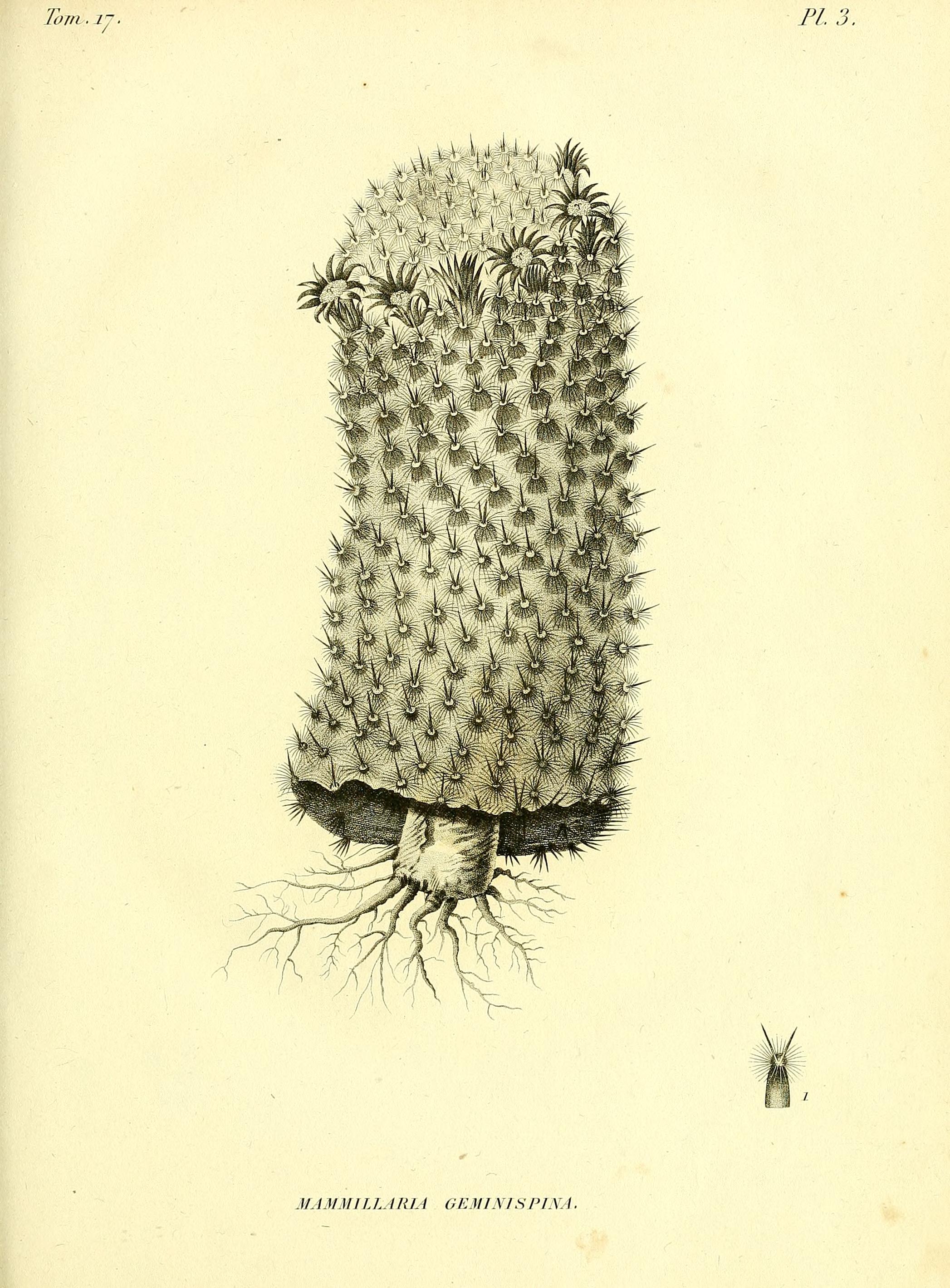 no full size  illustration available (3a)