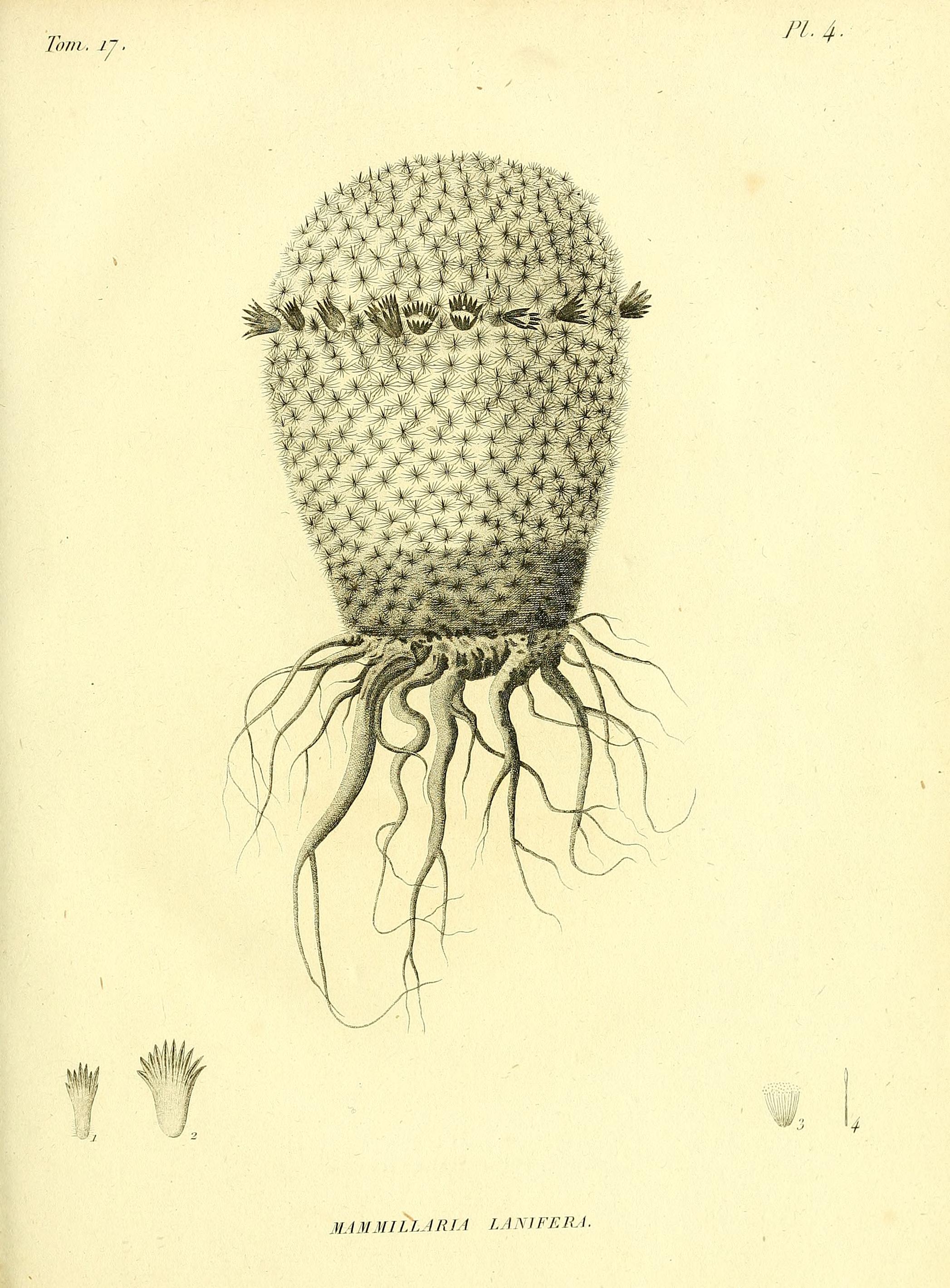 no full size  illustration available (3a)