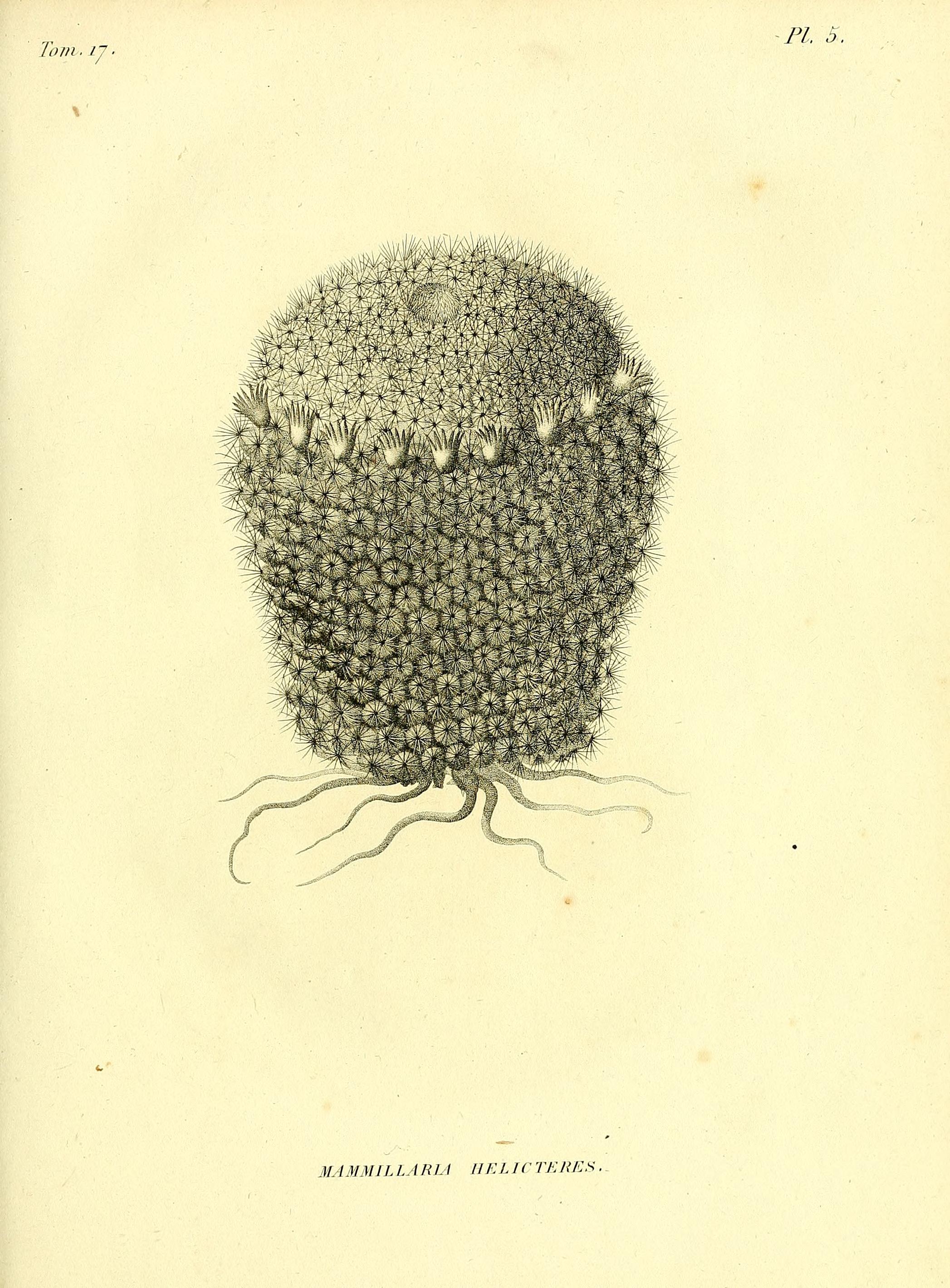 no full size  illustration available (3a)