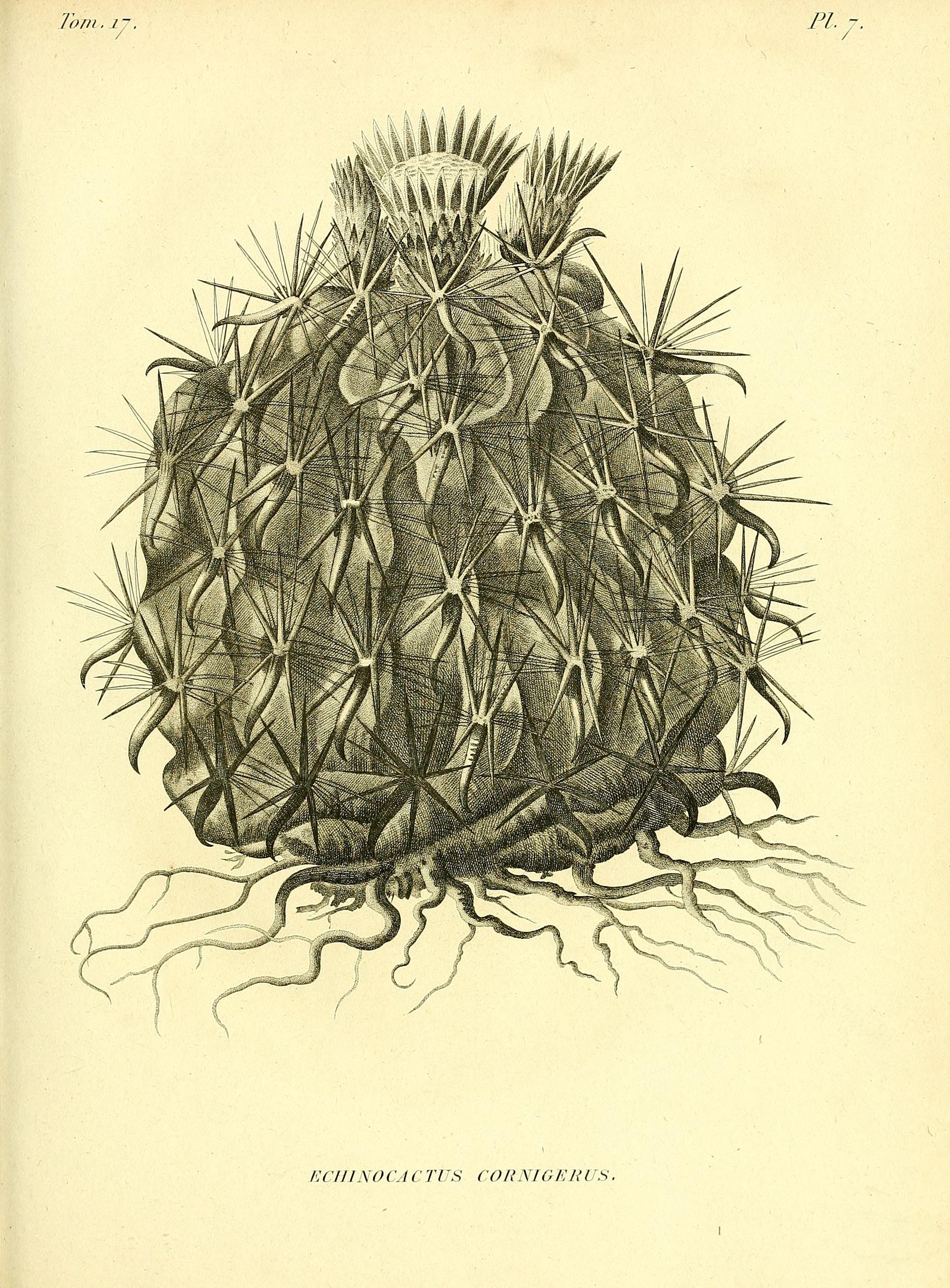 no full size  illustration available (3a)