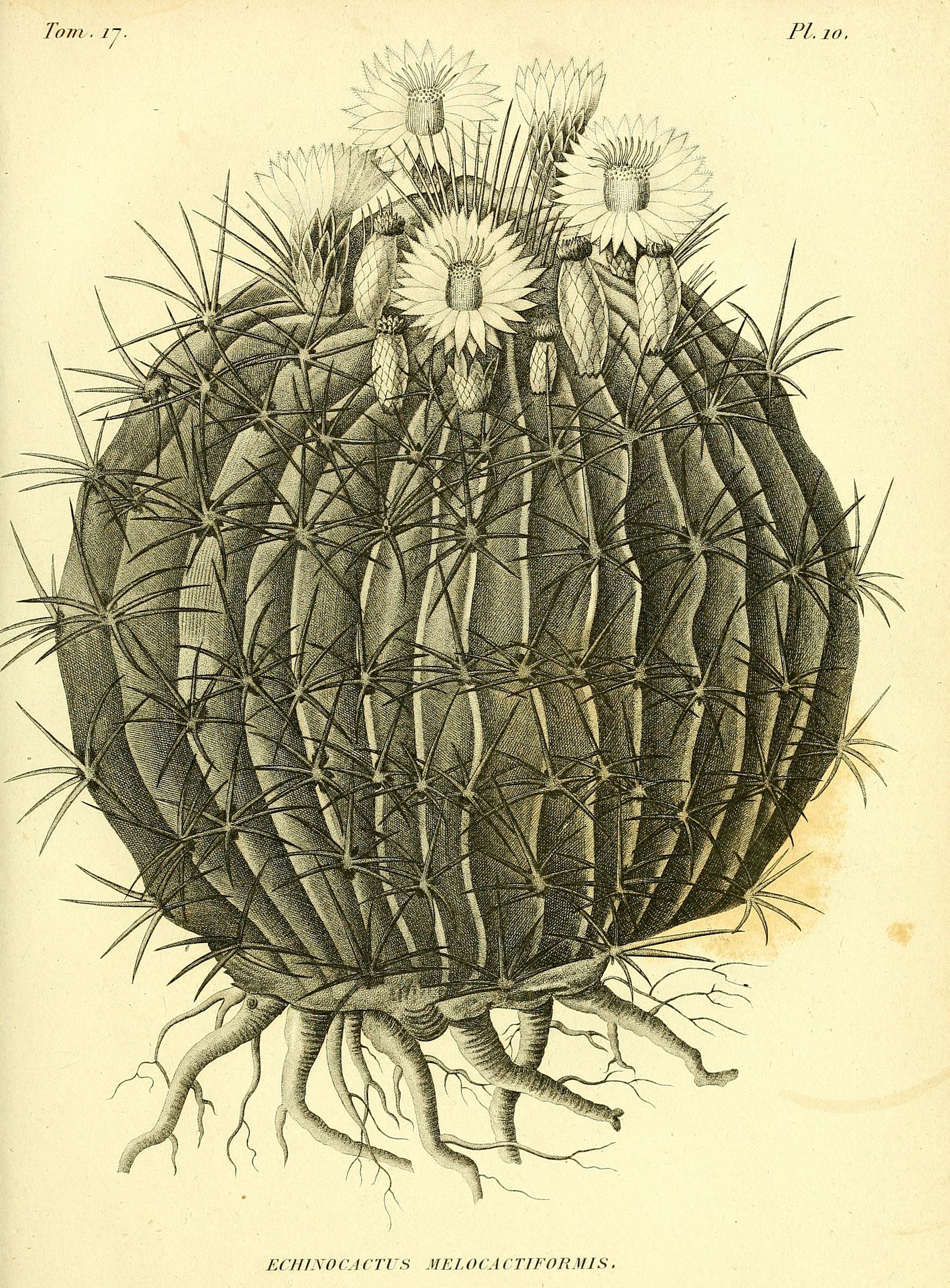 no full size  illustration available (3a)