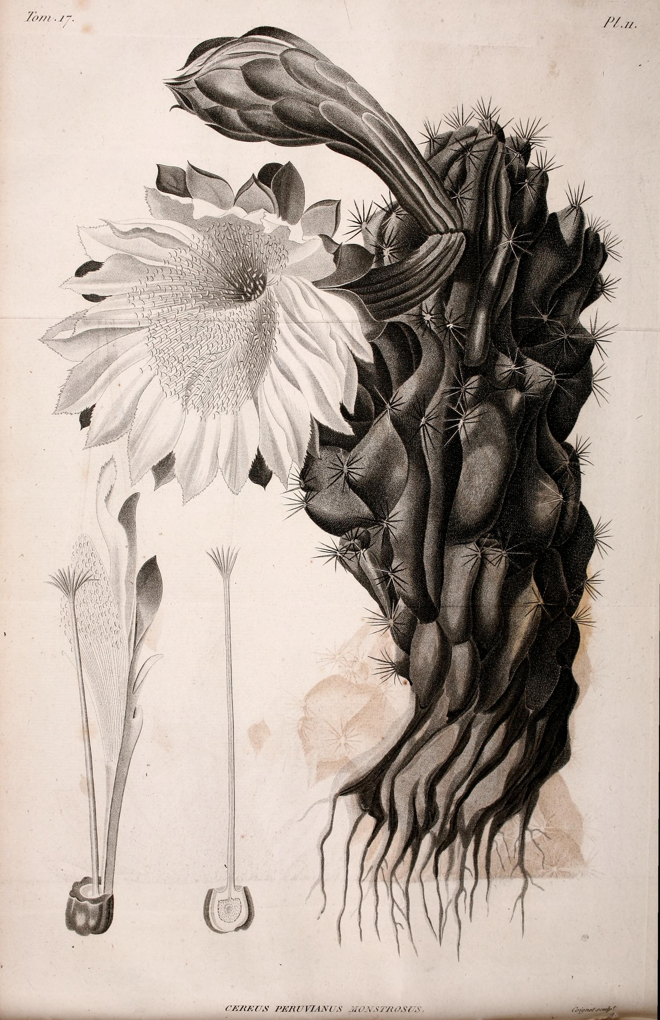 no full size  illustration available (3a)