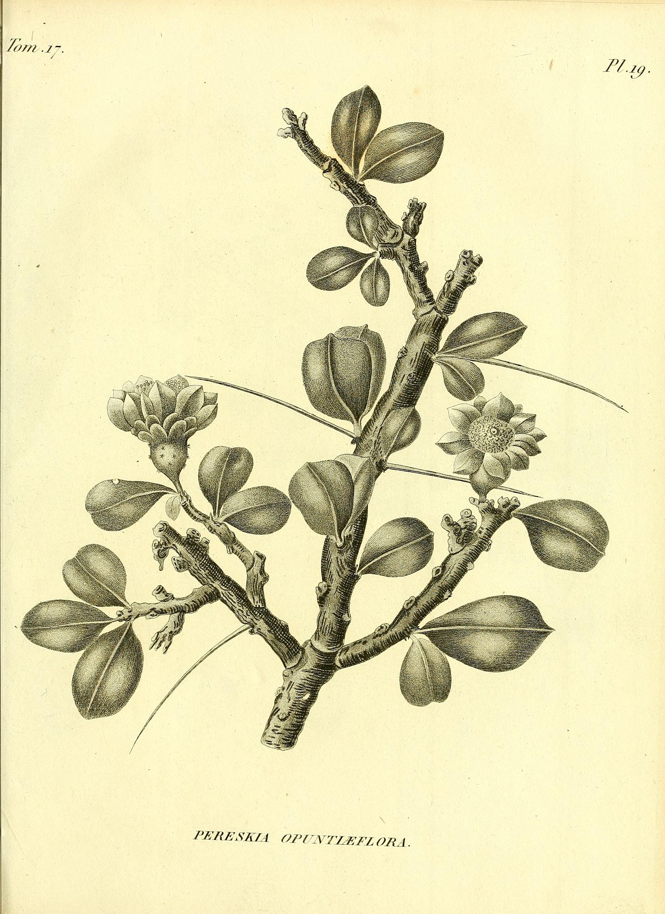 no full size  illustration available (3a)