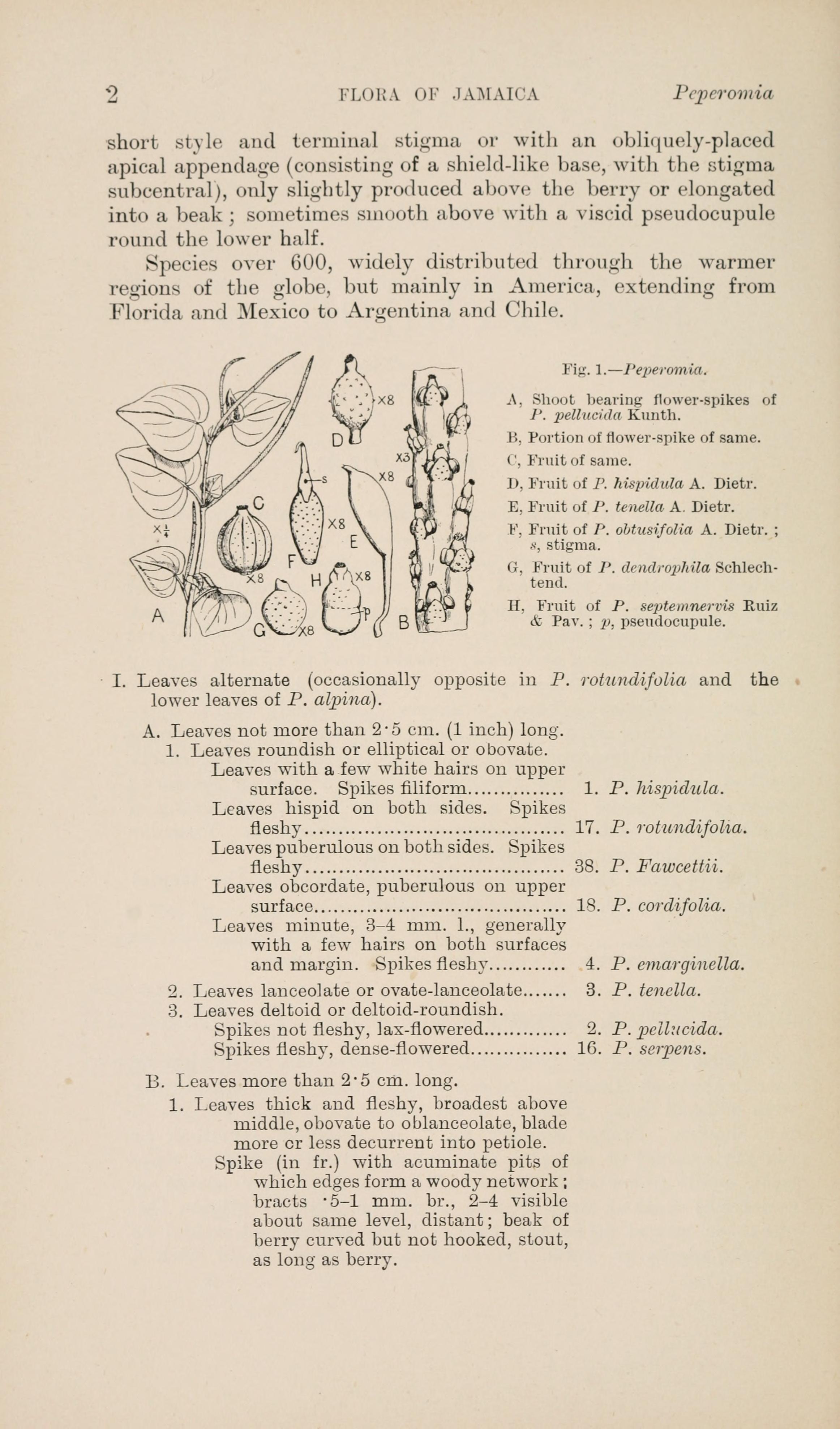 no full size  illustration available (3a)