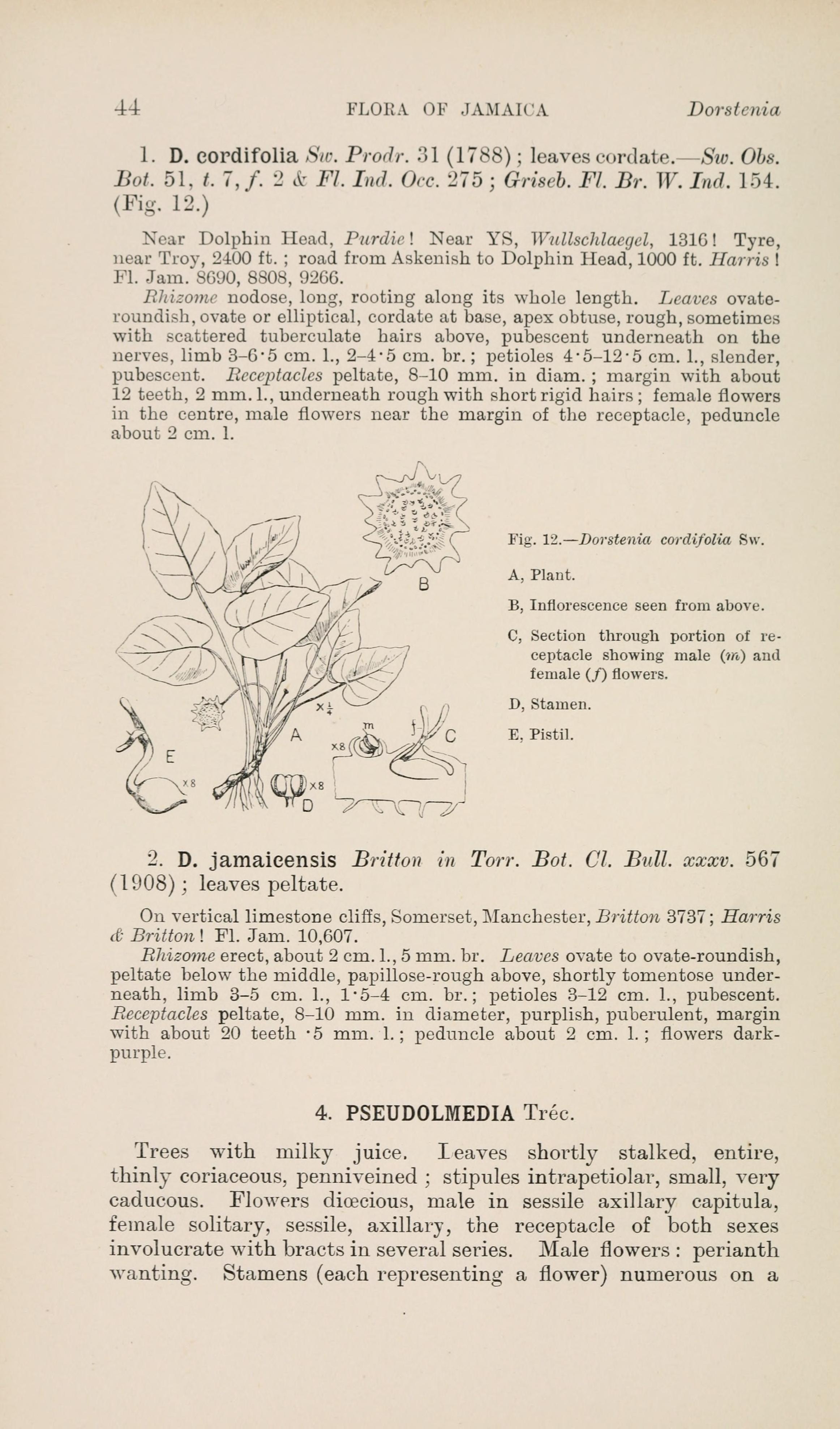 no full size  illustration available (3a)