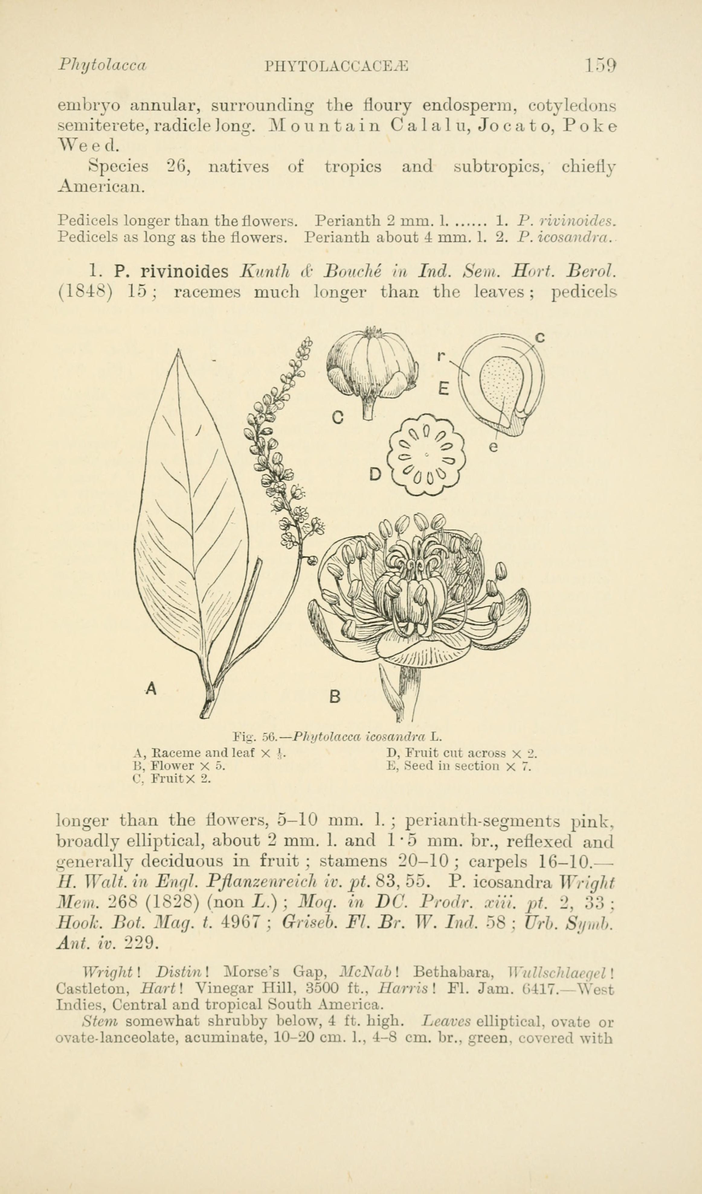 no full size  illustration available (3a)