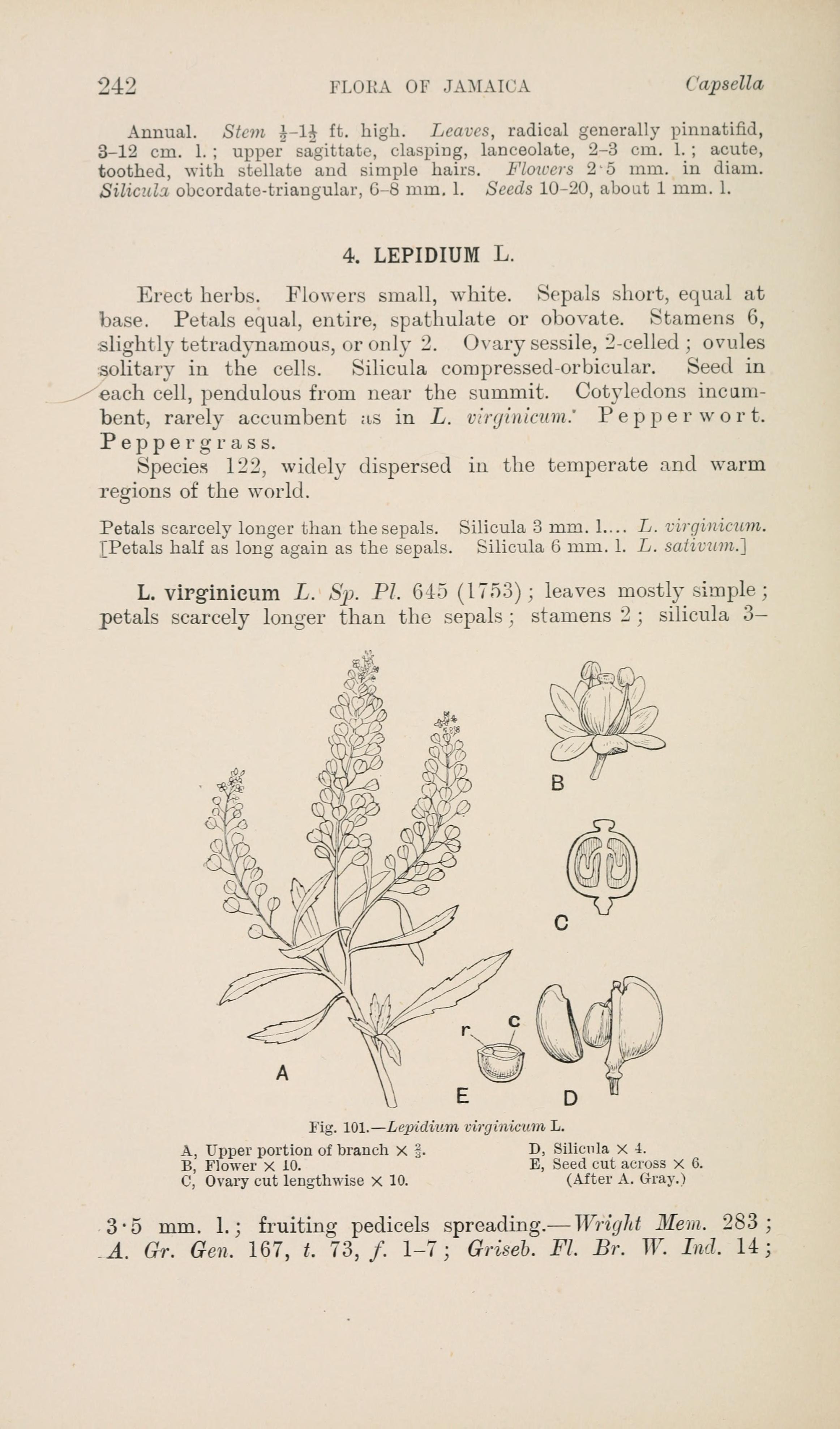 no full size  illustration available (3a)