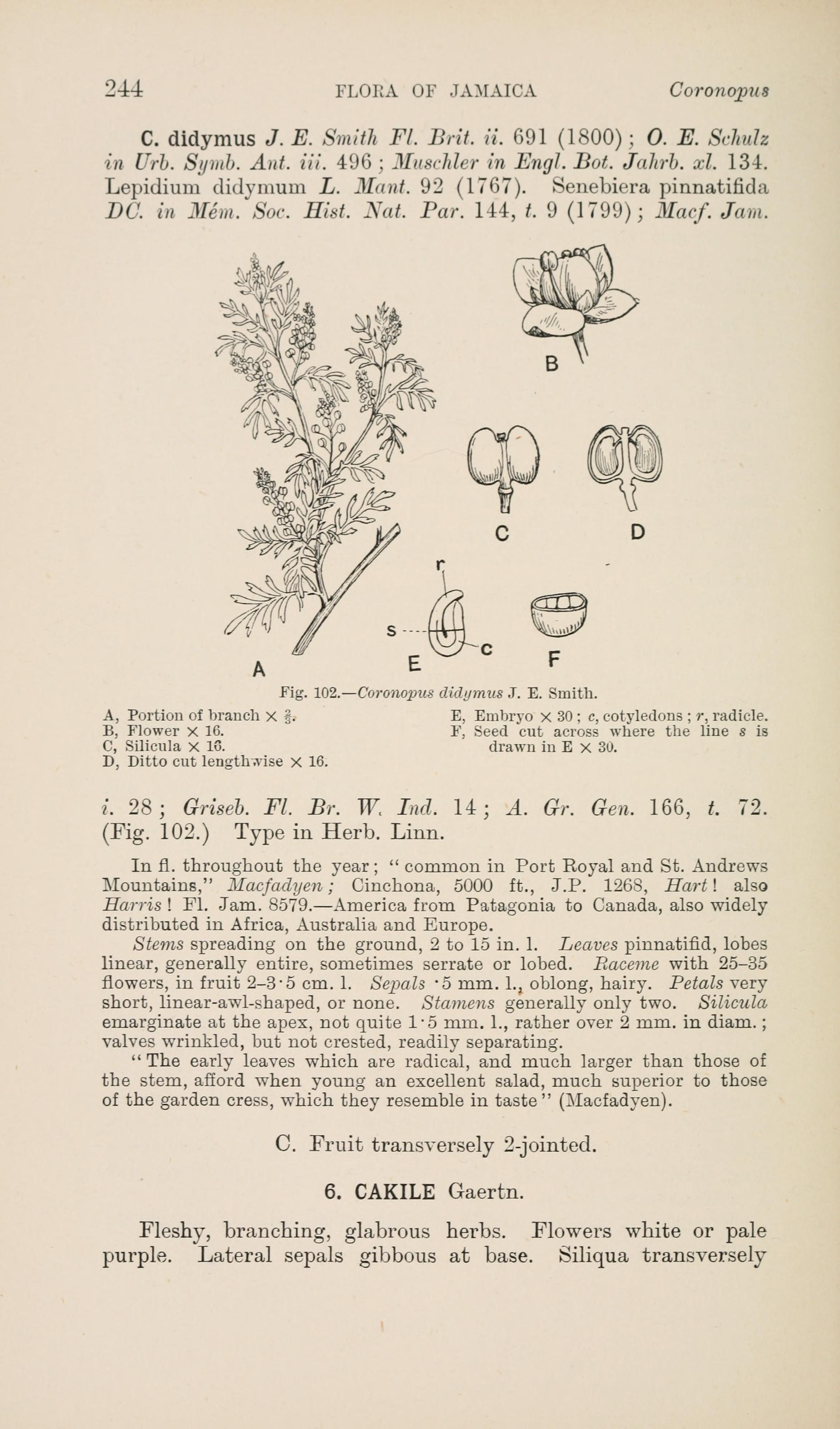 no full size  illustration available (3a)