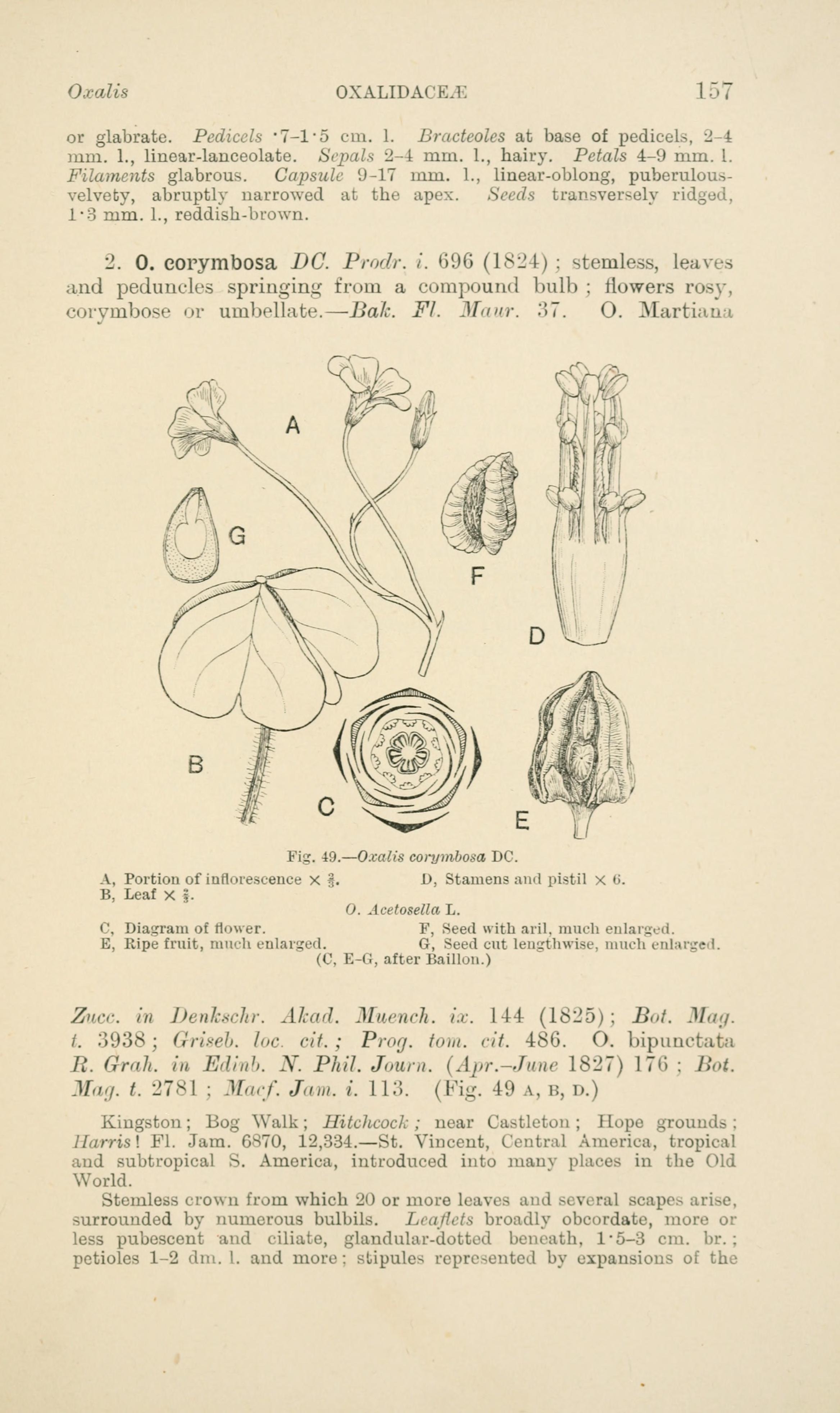 no full size  illustration available (3a)