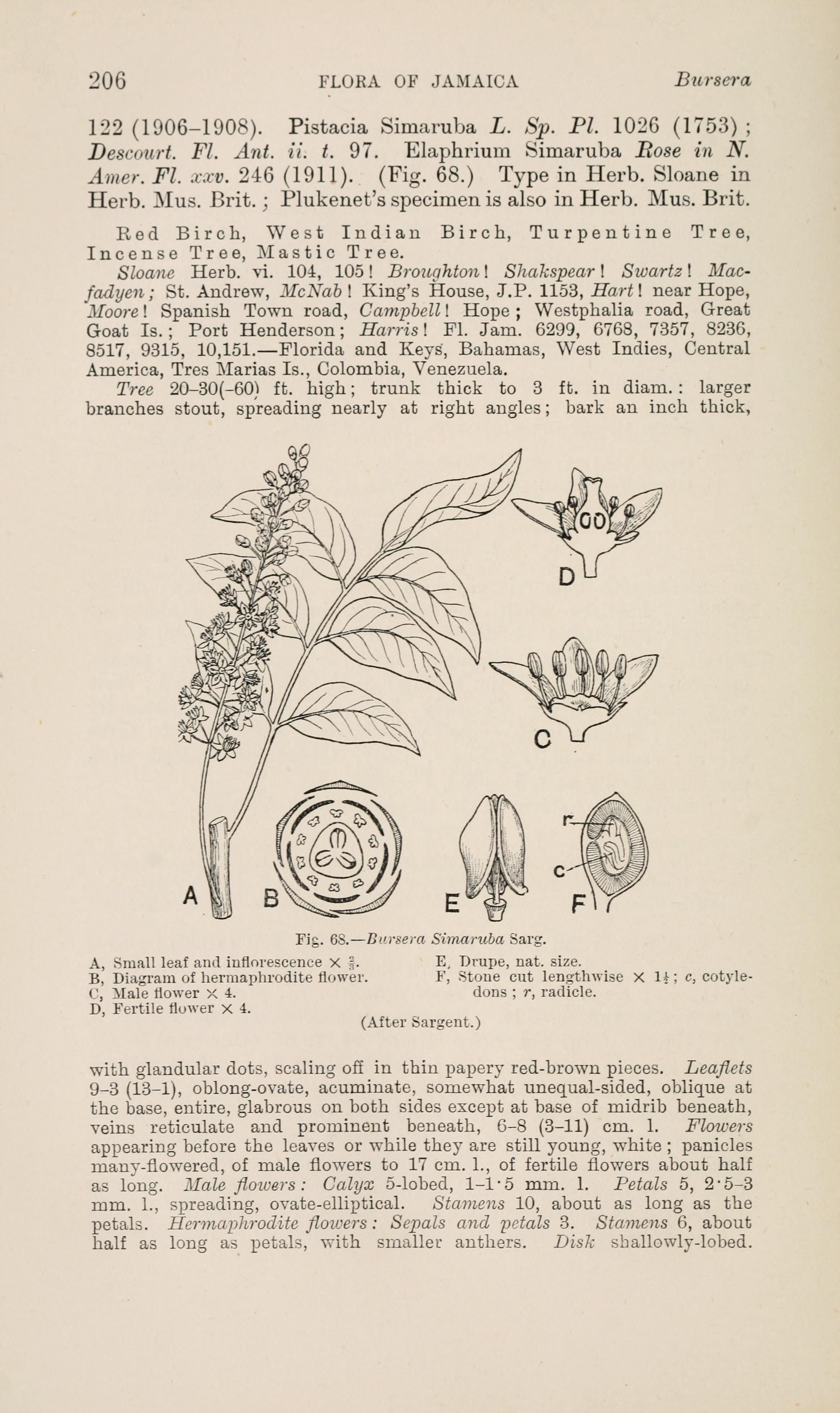 no full size  illustration available (3a)