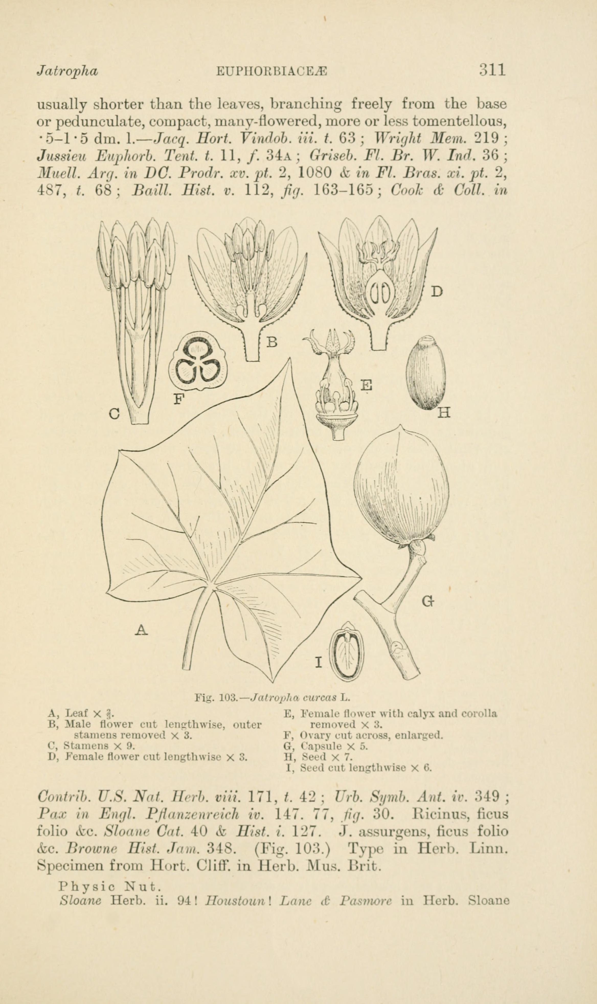 no full size  illustration available (3a)