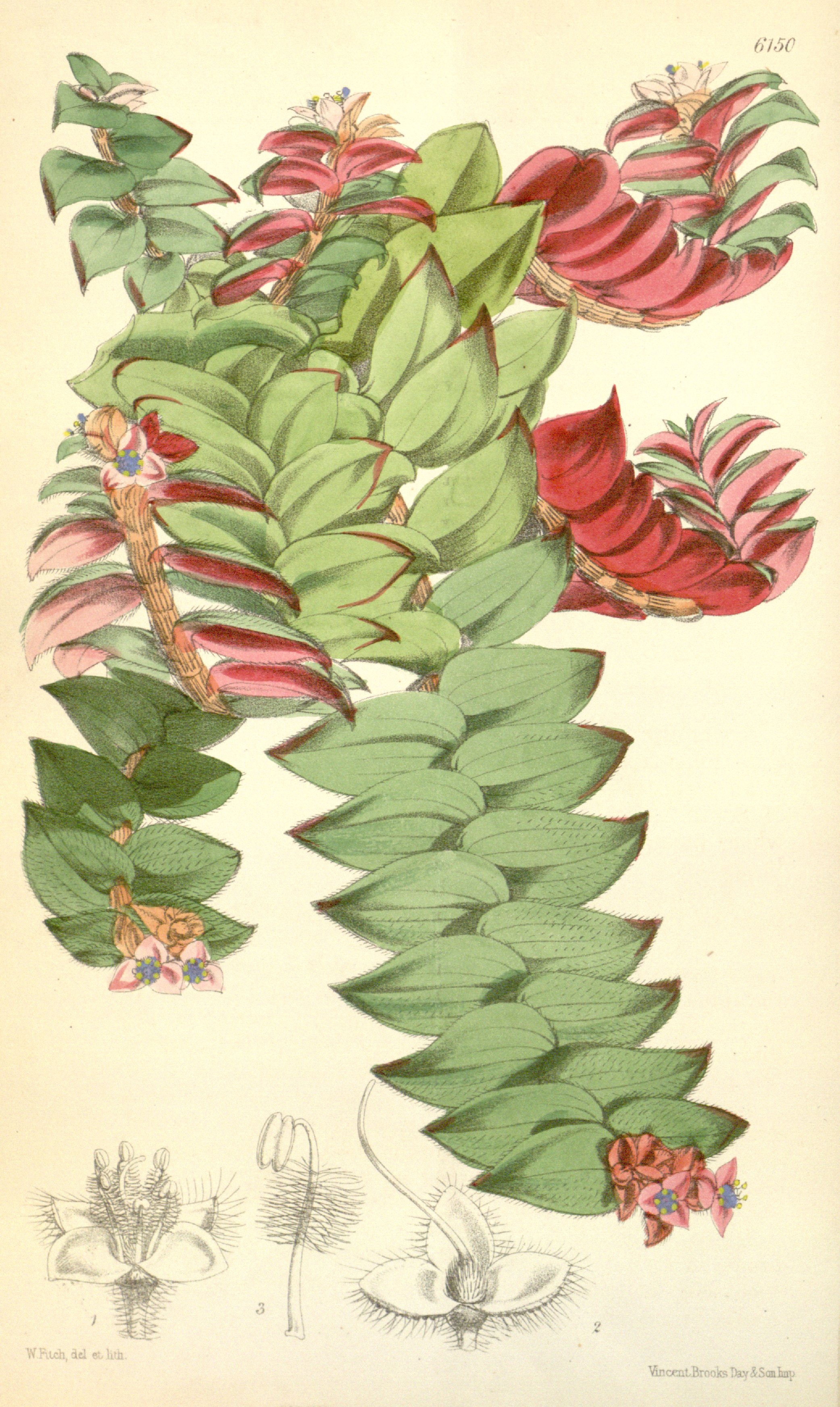 no full size  illustration available (3a)