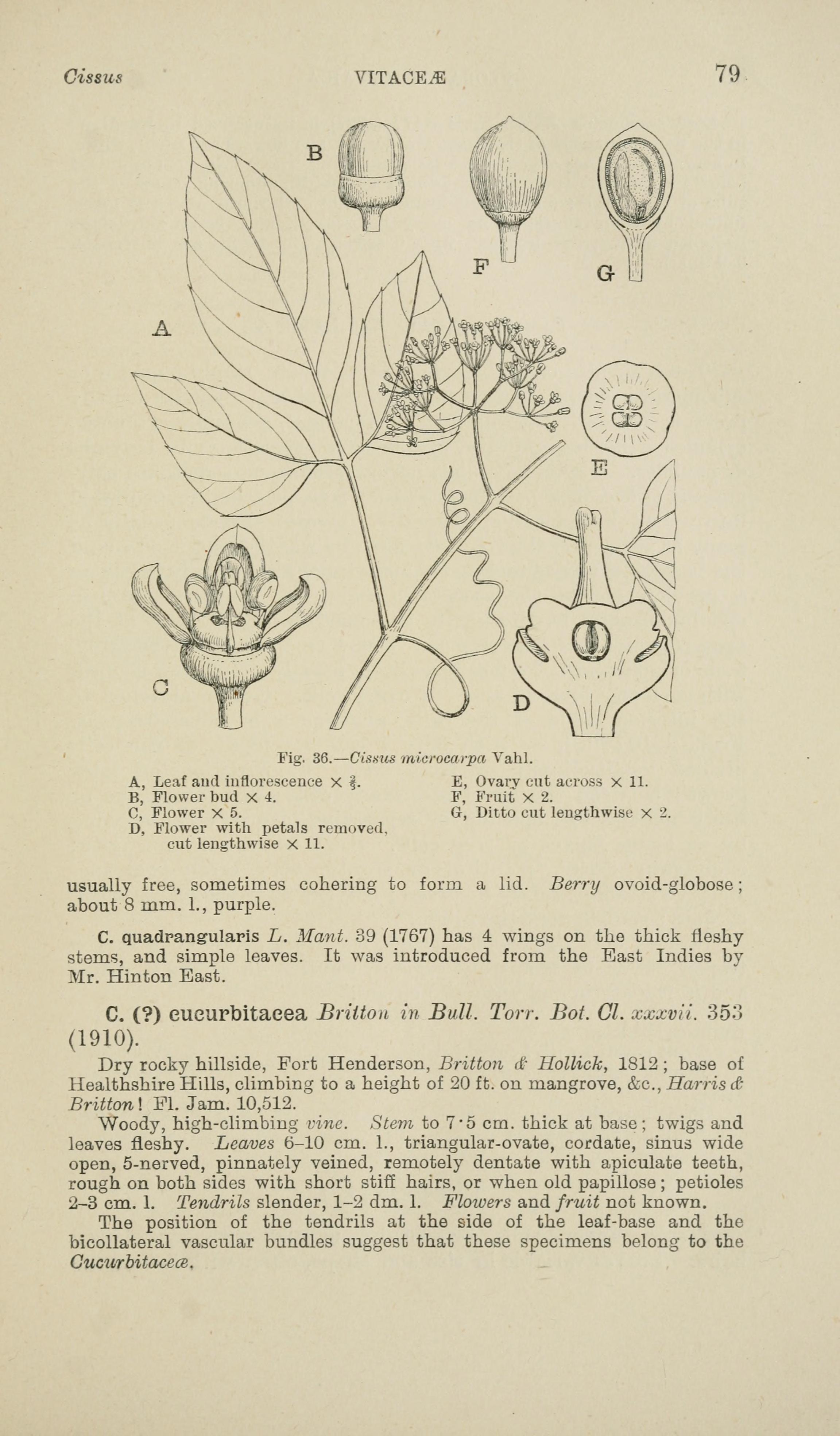 no full size  illustration available (3a)