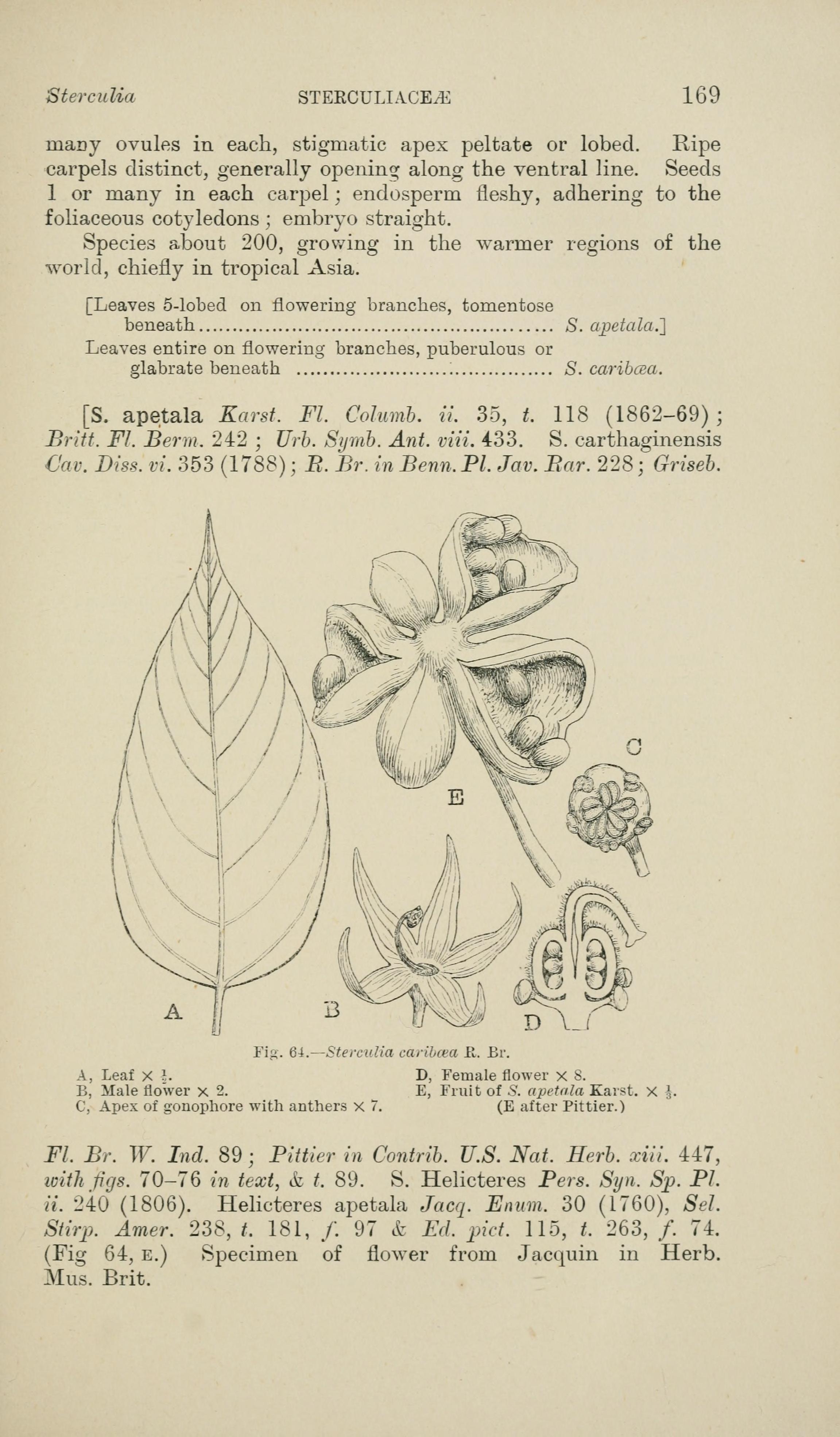 no full size  illustration available (3a)